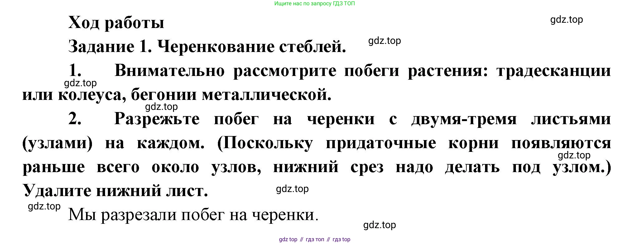 Биология, 6 класс Учебник, авторы: Пономарева Ирма Николаевна, Корнилова Ольга Анатольевна, издательство Просвещение, Москва, 2023, бирюзового цвета, страница 147, Решение