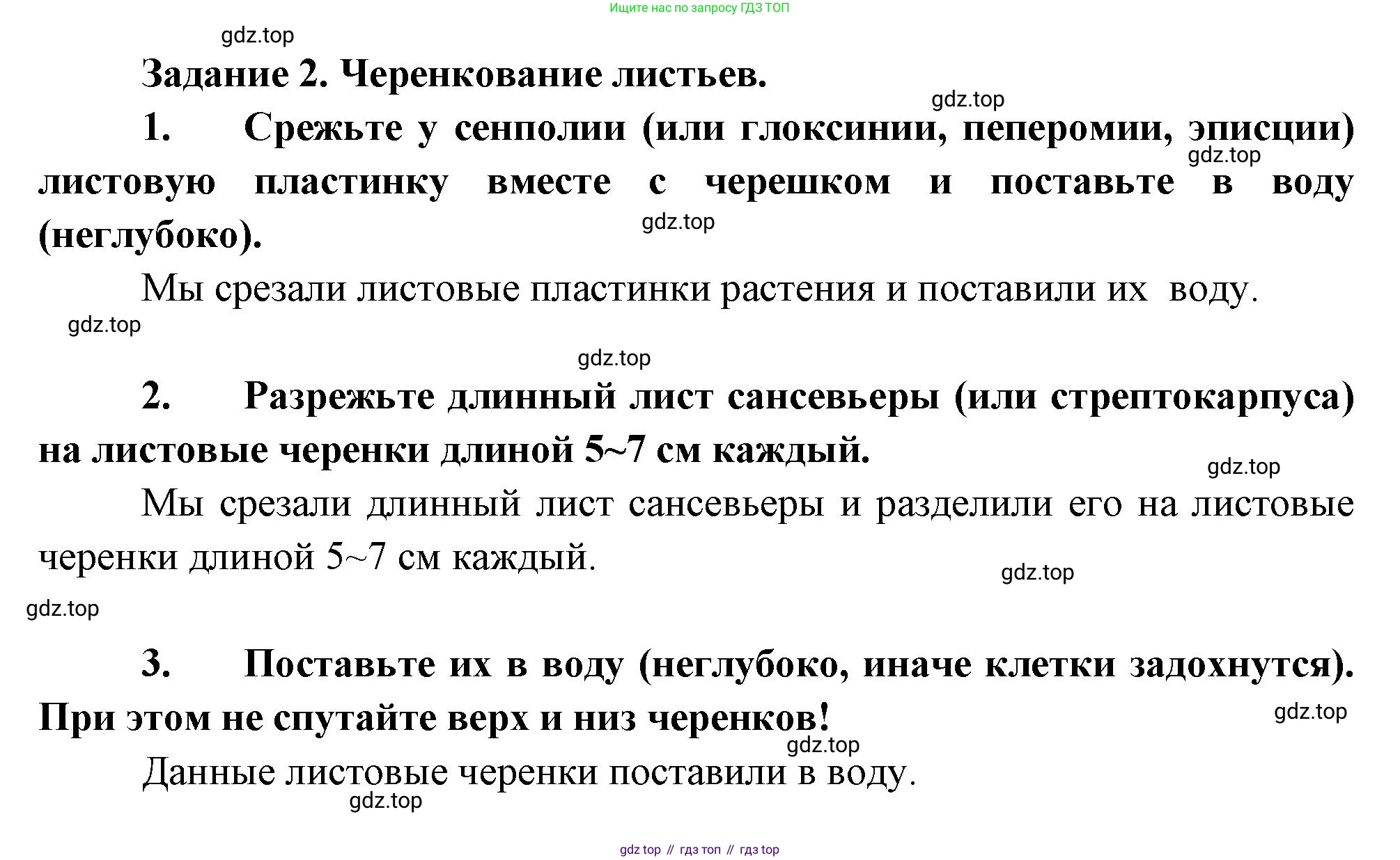 Биология, 6 класс Учебник, авторы: Пономарева Ирма Николаевна, Корнилова Ольга Анатольевна, издательство Просвещение, Москва, 2023, бирюзового цвета, страница 148, Решение