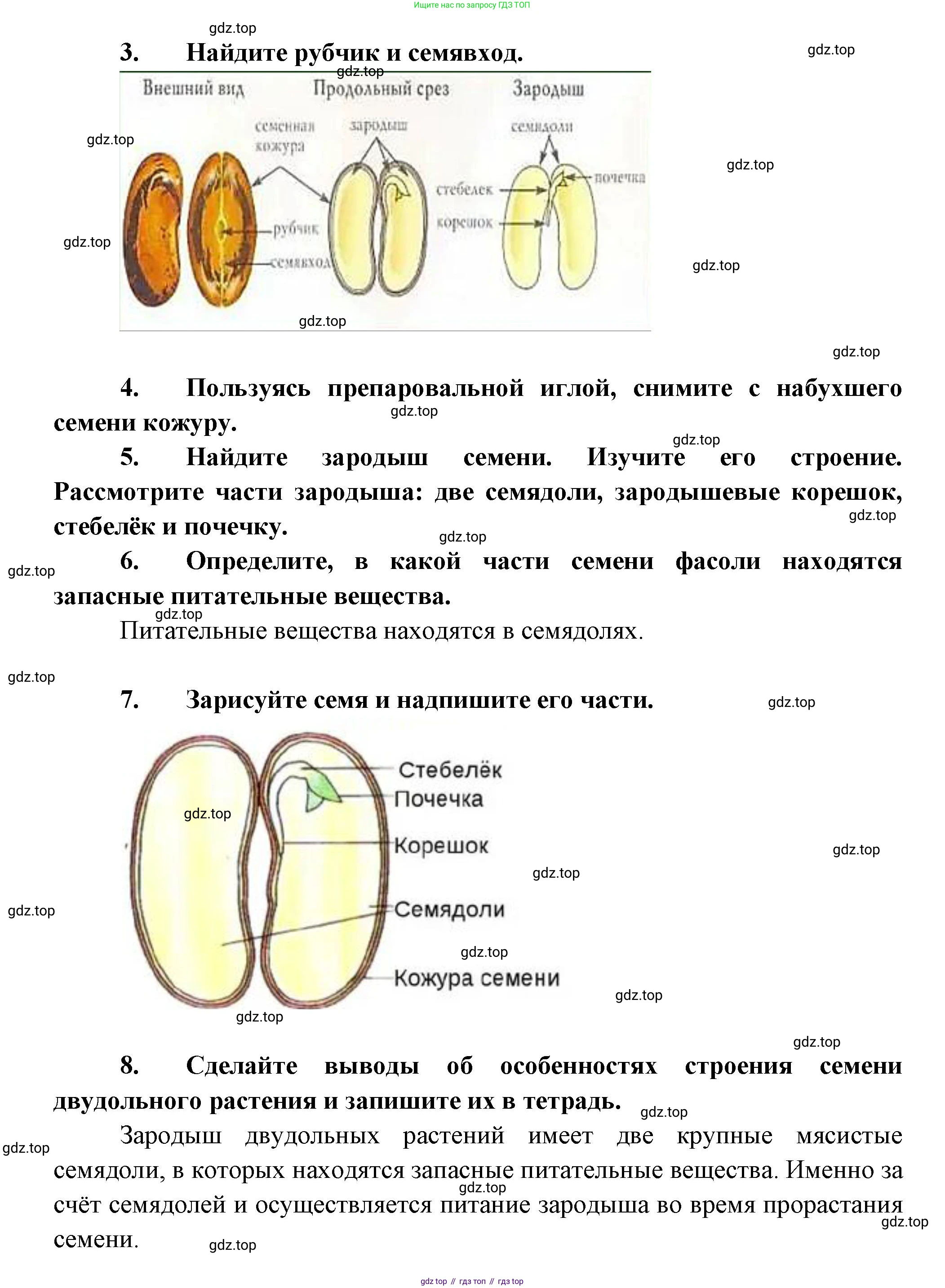 Биология, 6 класс Учебник, авторы: Пономарева Ирма Николаевна, Корнилова Ольга Анатольевна, издательство Просвещение, Москва, 2023, бирюзового цвета, страница 162, Решение (продолжение 2)