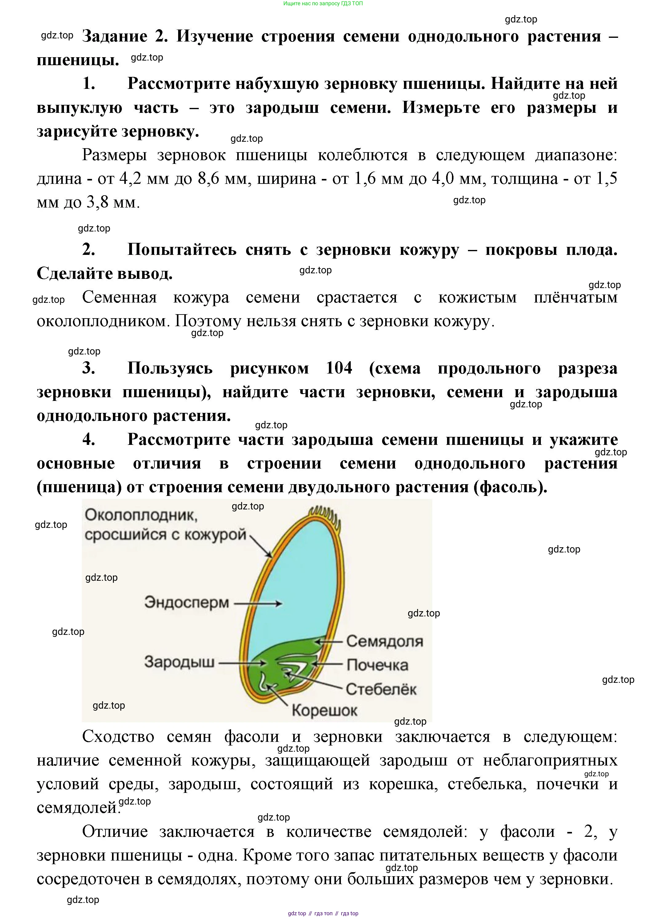 Биология, 6 класс Учебник, авторы: Пономарева Ирма Николаевна, Корнилова Ольга Анатольевна, издательство Просвещение, Москва, 2023, бирюзового цвета, страница 162, Решение