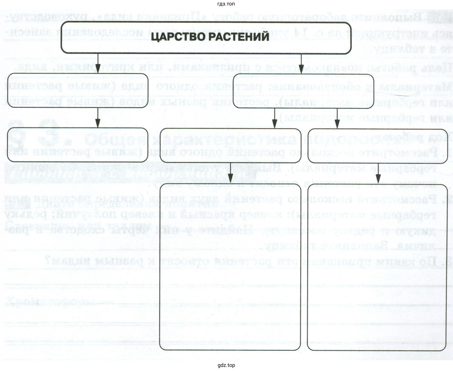 Схема «Многообразие видов растений»