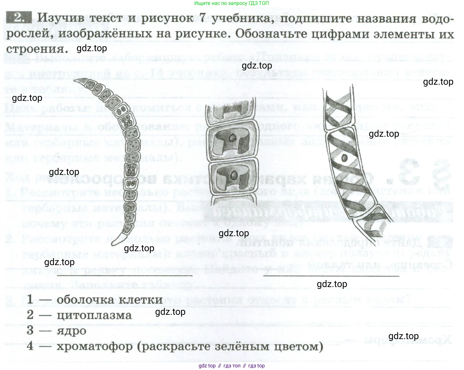 ГДЗ Биология, 7 класс рабочая тетрадь, авторы: Пасечник Владимир Васильевич, Суматохин Сергей Витальевич, Швецов Глеб Геннадьевич, Гапонюк Зоя Георгиевна, Косарькова Марина Викторовна, издательство Просвещение, Москва, 2023, бирюзового цвета, страница 10, номер 2, Условие