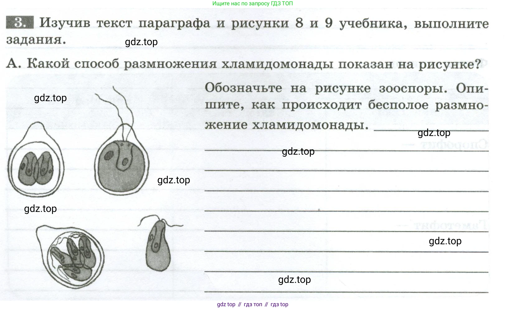 ГДЗ Биология, 7 класс рабочая тетрадь, авторы: Пасечник Владимир Васильевич, Суматохин Сергей Витальевич, Швецов Глеб Геннадьевич, Гапонюк Зоя Георгиевна, Косарькова Марина Викторовна, издательство Просвещение, Москва, 2023, бирюзового цвета, страница 10, номер 3, Условие