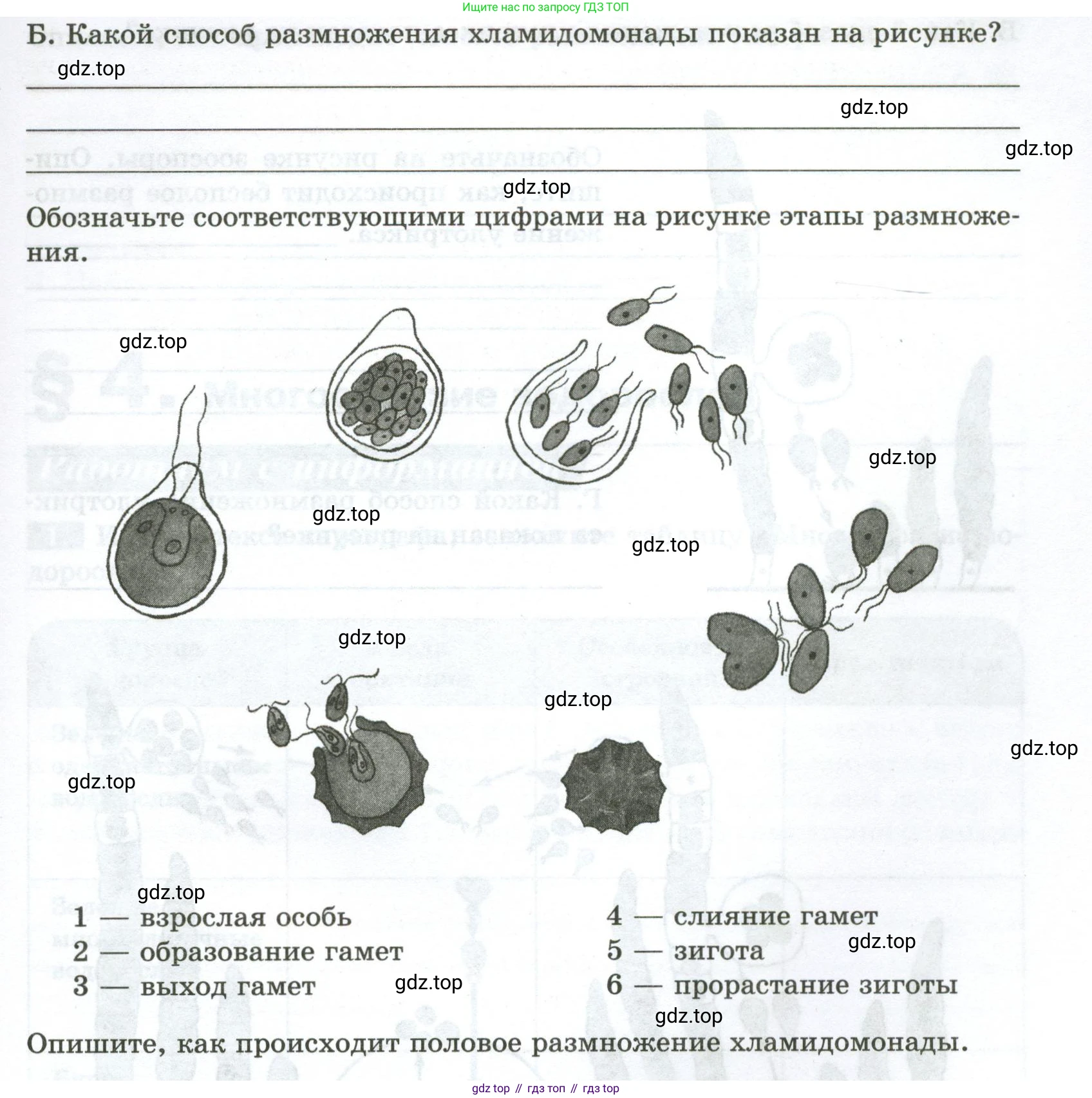 ГДЗ Биология, 7 класс рабочая тетрадь, авторы: Пасечник Владимир Васильевич, Суматохин Сергей Витальевич, Швецов Глеб Геннадьевич, Гапонюк Зоя Георгиевна, Косарькова Марина Викторовна, издательство Просвещение, Москва, 2023, бирюзового цвета, страница 10, номер 3, Условие (продолжение 2)