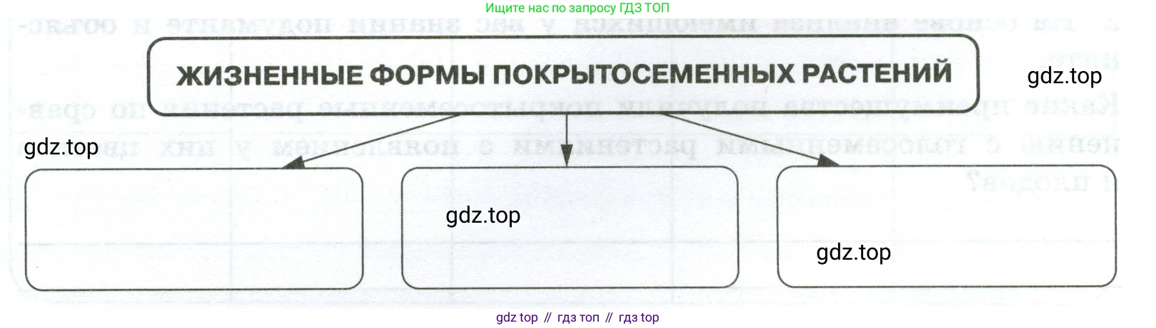 Схема «Жизненные формы покрытосеменных растений»