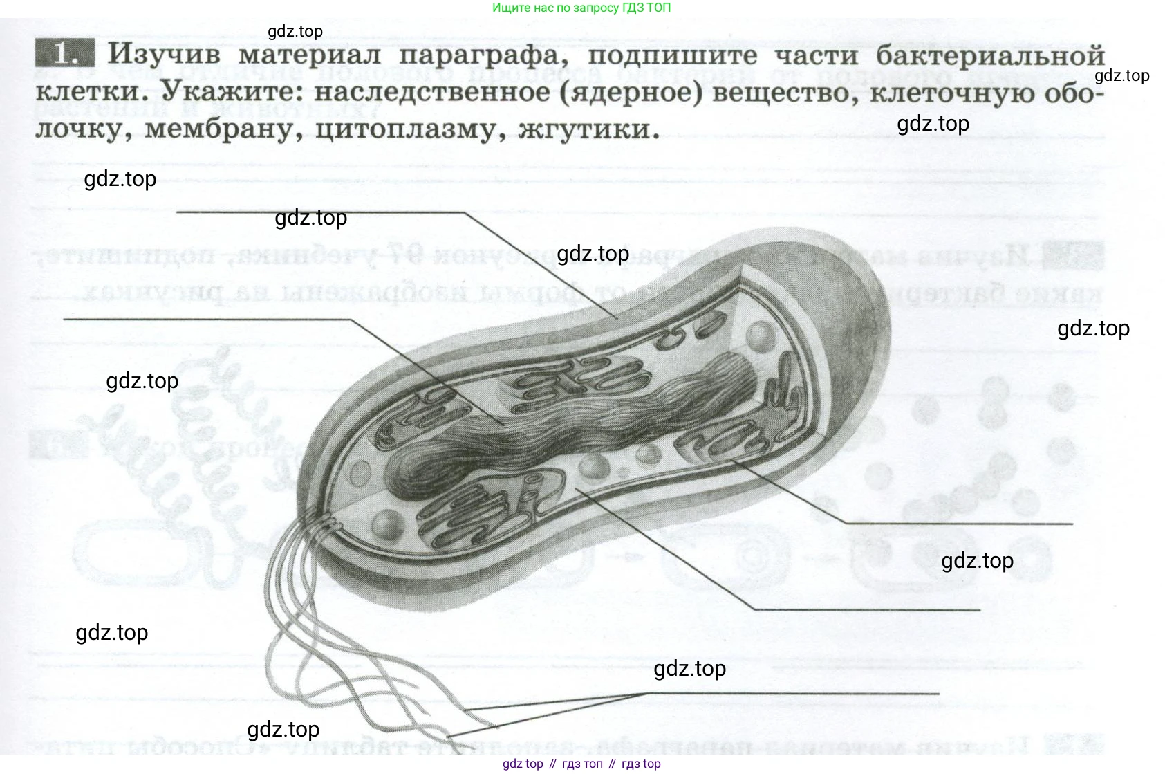 ГДЗ Биология, 7 класс рабочая тетрадь, авторы: Пасечник Владимир Васильевич, Суматохин Сергей Витальевич, Швецов Глеб Геннадьевич, Гапонюк Зоя Георгиевна, Косарькова Марина Викторовна, издательство Просвещение, Москва, 2023, бирюзового цвета, страница 79, номер 1, Условие