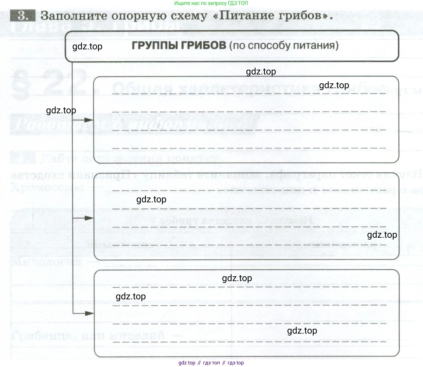 ГДЗ Биология, 7 класс рабочая тетрадь, авторы: Пасечник Владимир Васильевич, Суматохин Сергей Витальевич, Швецов Глеб Геннадьевич, Гапонюк Зоя Георгиевна, Косарькова Марина Викторовна, издательство Просвещение, Москва, 2023, бирюзового цвета, страница 88, номер 3, Условие