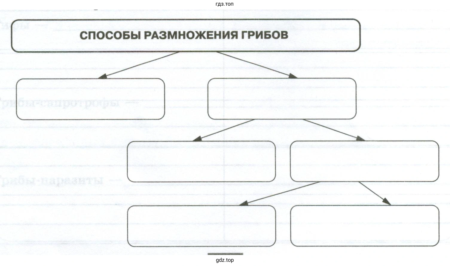 Изучив текст параграфа, заполните опорную схему «Способы размножения грибов»