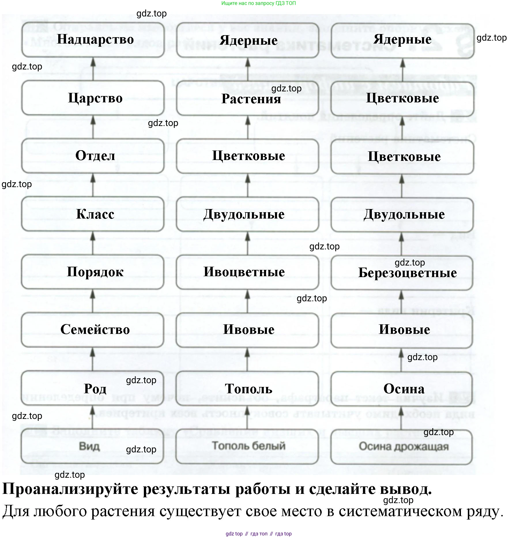 ГДЗ Биология, 7 класс рабочая тетрадь, авторы: Пасечник Владимир Васильевич, Суматохин Сергей Витальевич, Швецов Глеб Геннадьевич, Гапонюк Зоя Георгиевна, Косарькова Марина Викторовна, издательство Просвещение, Москва, 2023, бирюзового цвета, страница 5, номер 3, Решение (продолжение 2)