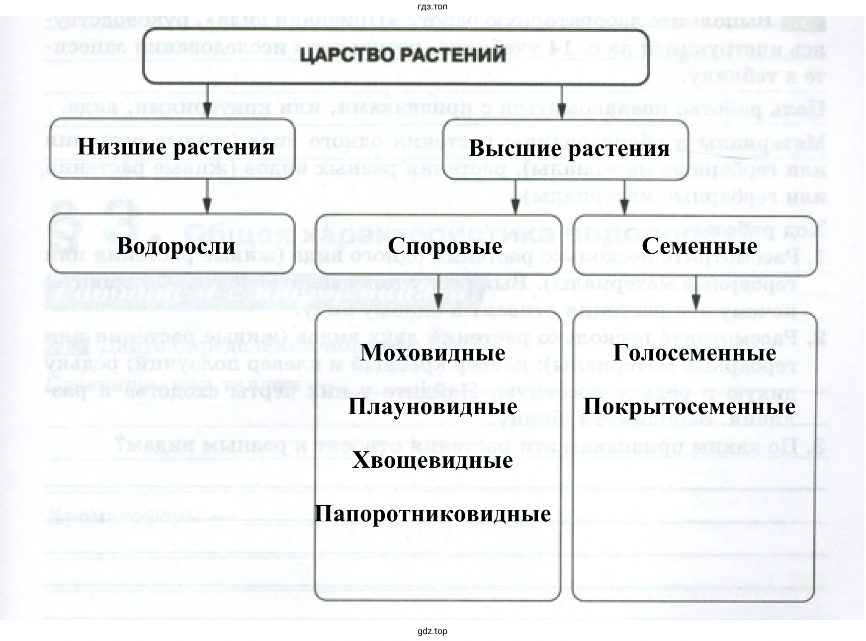 Схема «Многообразие видов растений»