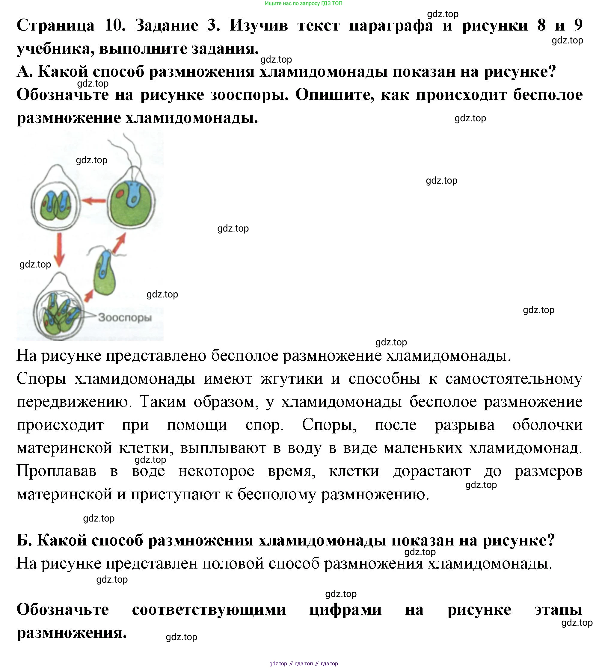 ГДЗ Биология, 7 класс рабочая тетрадь, авторы: Пасечник Владимир Васильевич, Суматохин Сергей Витальевич, Швецов Глеб Геннадьевич, Гапонюк Зоя Георгиевна, Косарькова Марина Викторовна, издательство Просвещение, Москва, 2023, бирюзового цвета, страница 10, номер 3, Решение