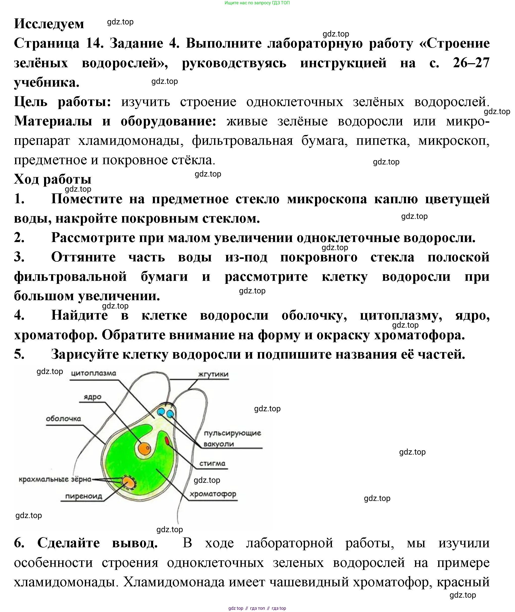 ГДЗ Биология, 7 класс рабочая тетрадь, авторы: Пасечник Владимир Васильевич, Суматохин Сергей Витальевич, Швецов Глеб Геннадьевич, Гапонюк Зоя Георгиевна, Косарькова Марина Викторовна, издательство Просвещение, Москва, 2023, бирюзового цвета, страница 14, номер 4, Решение
