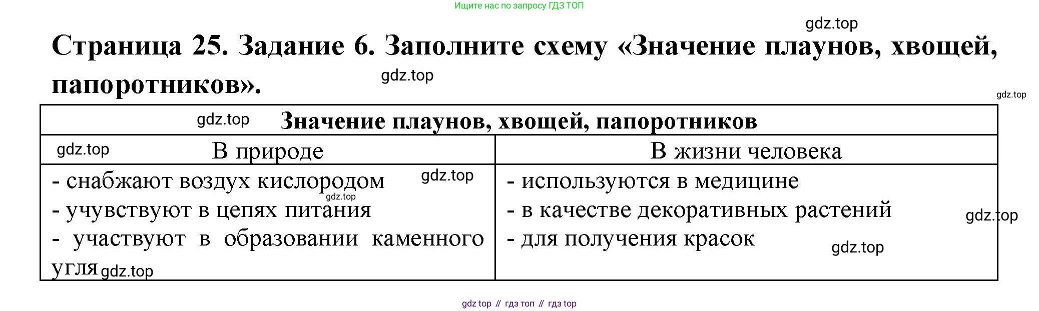 ГДЗ Биология, 7 класс рабочая тетрадь, авторы: Пасечник Владимир Васильевич, Суматохин Сергей Витальевич, Швецов Глеб Геннадьевич, Гапонюк Зоя Георгиевна, Косарькова Марина Викторовна, издательство Просвещение, Москва, 2023, бирюзового цвета, страница 25, номер 6, Решение