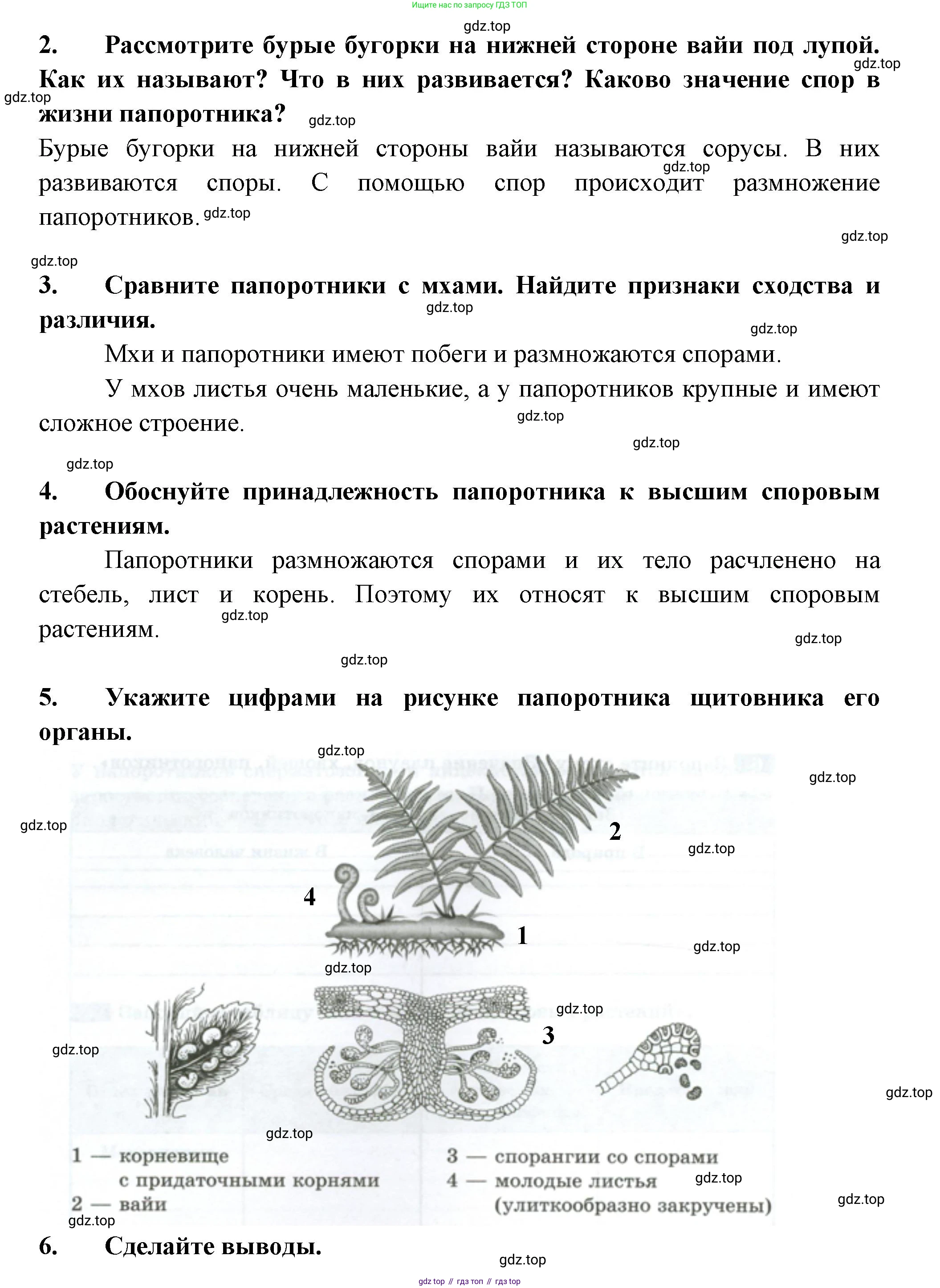 ГДЗ Биология, 7 класс рабочая тетрадь, авторы: Пасечник Владимир Васильевич, Суматохин Сергей Витальевич, Швецов Глеб Геннадьевич, Гапонюк Зоя Георгиевна, Косарькова Марина Викторовна, издательство Просвещение, Москва, 2023, бирюзового цвета, страница 25, номер 7, Решение (продолжение 2)