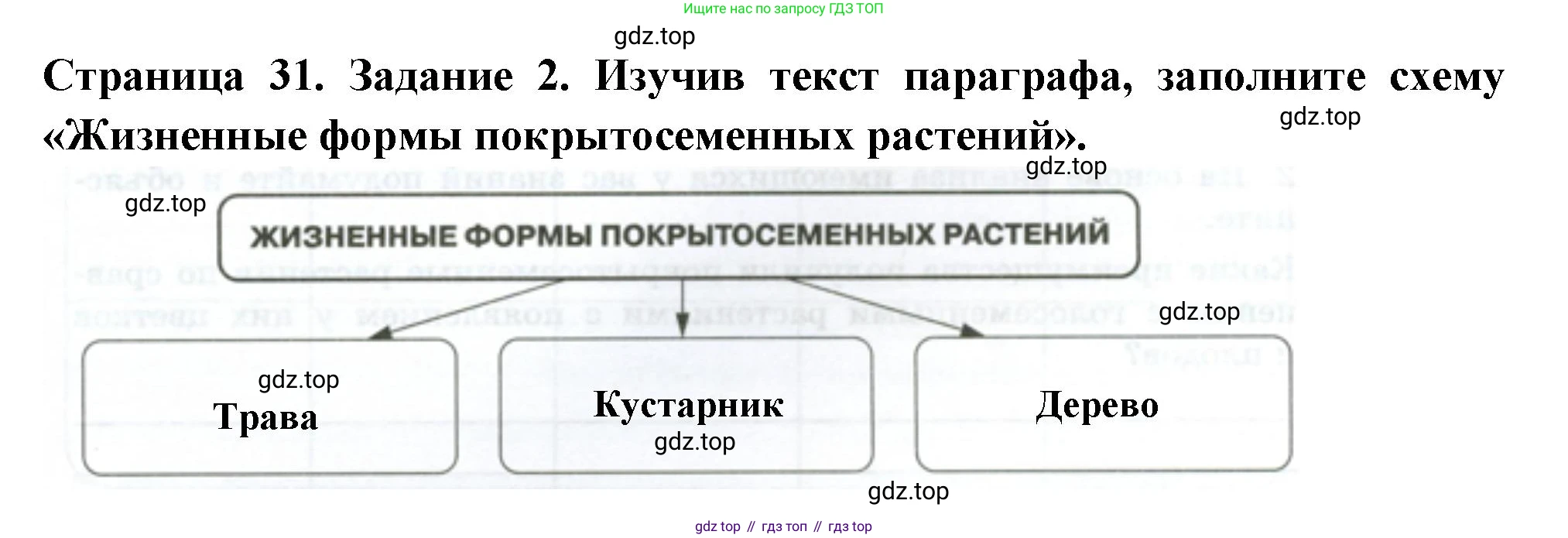 ГДЗ Биология, 7 класс рабочая тетрадь, авторы: Пасечник Владимир Васильевич, Суматохин Сергей Витальевич, Швецов Глеб Геннадьевич, Гапонюк Зоя Георгиевна, Косарькова Марина Викторовна, издательство Просвещение, Москва, 2023, бирюзового цвета, страница 31, номер 2, Решение