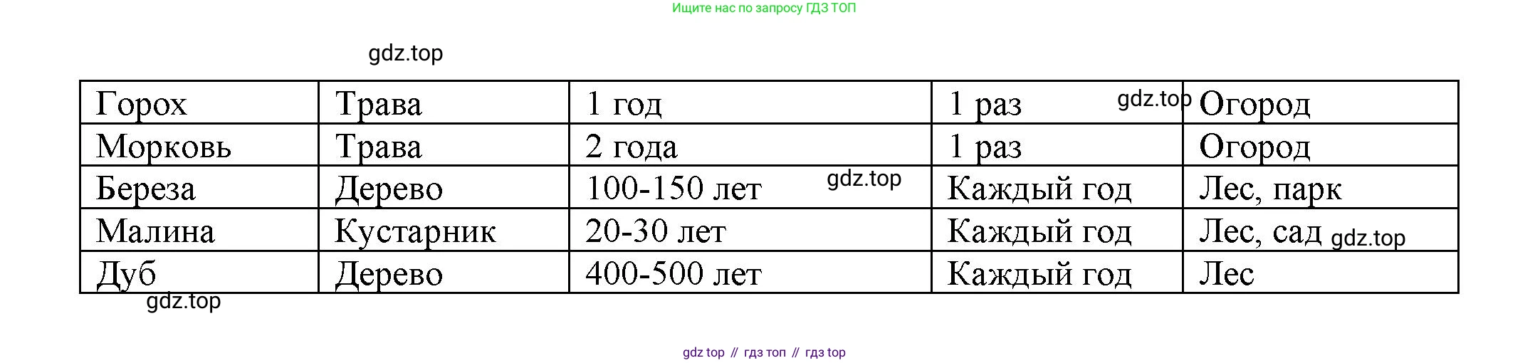 ГДЗ Биология, 7 класс рабочая тетрадь, авторы: Пасечник Владимир Васильевич, Суматохин Сергей Витальевич, Швецов Глеб Геннадьевич, Гапонюк Зоя Георгиевна, Косарькова Марина Викторовна, издательство Просвещение, Москва, 2023, бирюзового цвета, страница 33, номер 4, Решение (продолжение 2)