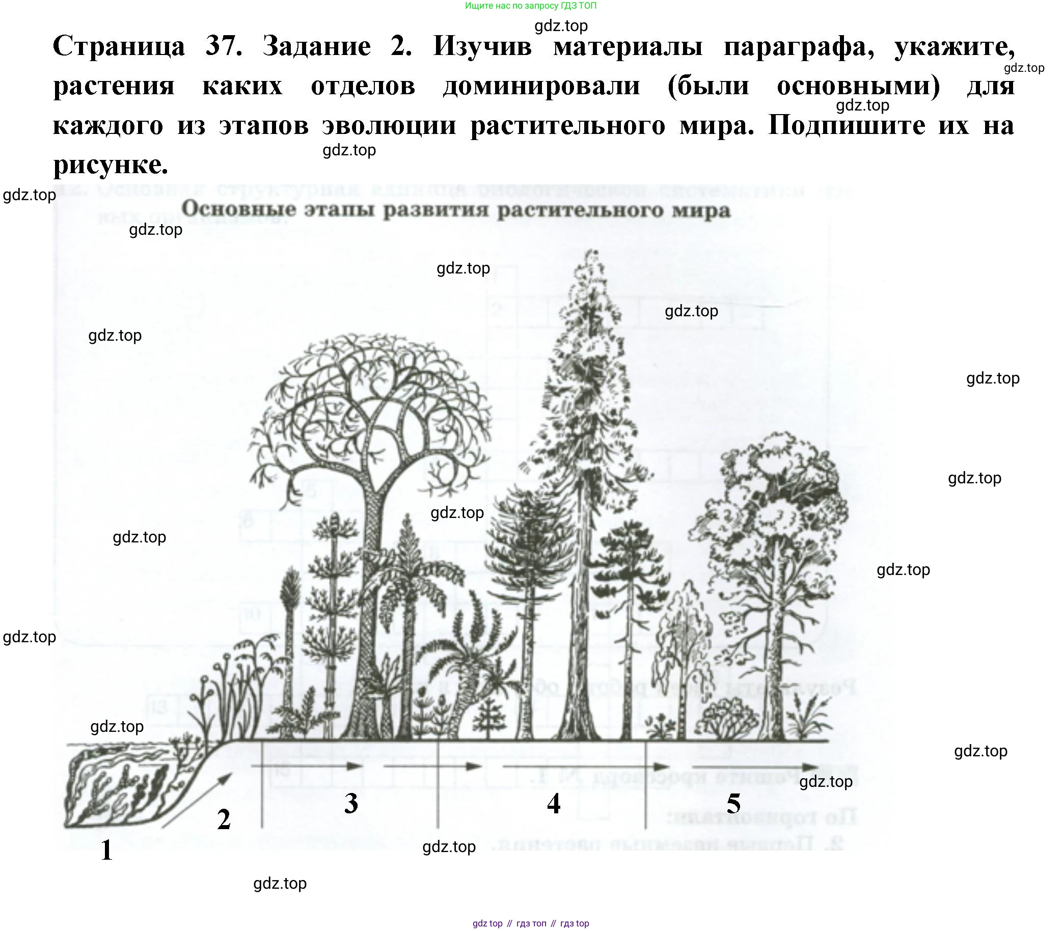 ГДЗ Биология, 7 класс рабочая тетрадь, авторы: Пасечник Владимир Васильевич, Суматохин Сергей Витальевич, Швецов Глеб Геннадьевич, Гапонюк Зоя Георгиевна, Косарькова Марина Викторовна, издательство Просвещение, Москва, 2023, бирюзового цвета, страница 37, номер 2, Решение