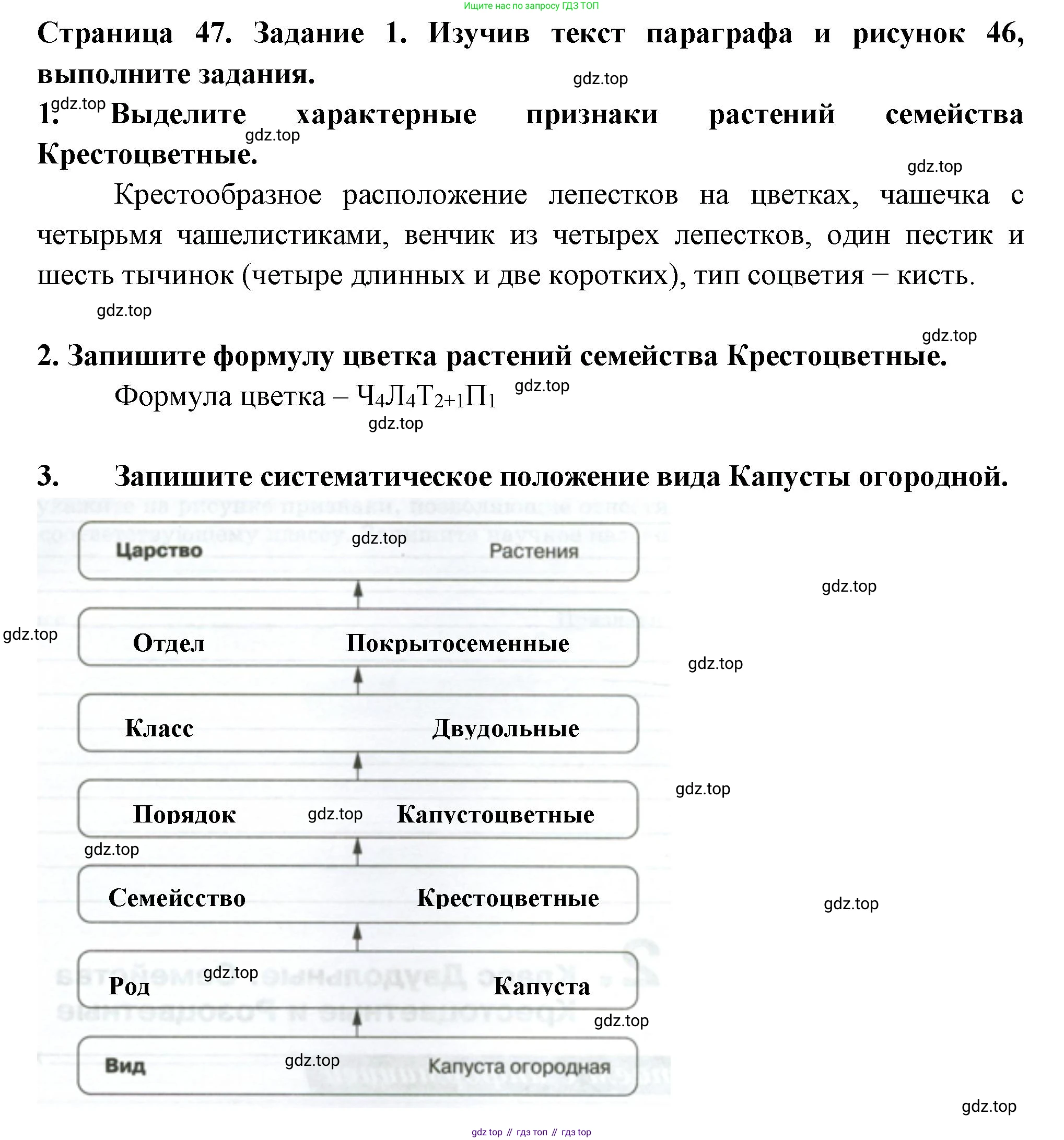 ГДЗ Биология, 7 класс рабочая тетрадь, авторы: Пасечник Владимир Васильевич, Суматохин Сергей Витальевич, Швецов Глеб Геннадьевич, Гапонюк Зоя Георгиевна, Косарькова Марина Викторовна, издательство Просвещение, Москва, 2023, бирюзового цвета, страница 47, номер 1, Решение