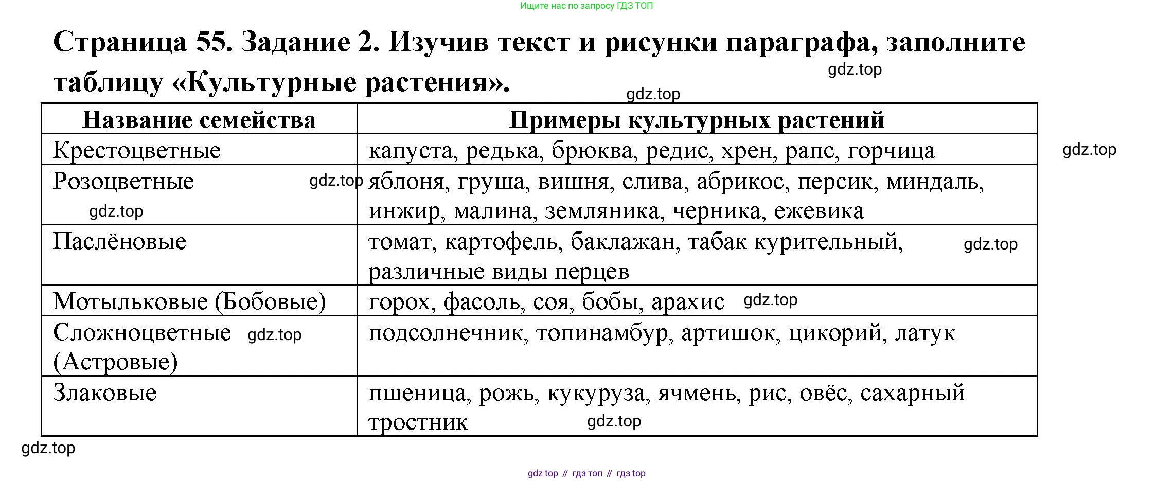ГДЗ Биология, 7 класс рабочая тетрадь, авторы: Пасечник Владимир Васильевич, Суматохин Сергей Витальевич, Швецов Глеб Геннадьевич, Гапонюк Зоя Георгиевна, Косарькова Марина Викторовна, издательство Просвещение, Москва, 2023, бирюзового цвета, страница 55, номер 2, Решение