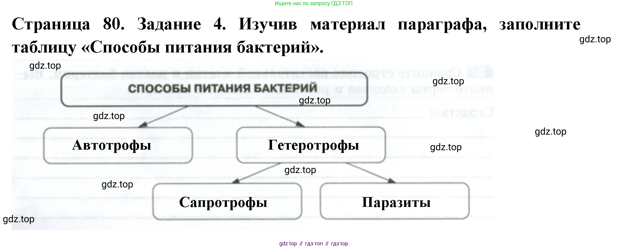 ГДЗ Биология, 7 класс рабочая тетрадь, авторы: Пасечник Владимир Васильевич, Суматохин Сергей Витальевич, Швецов Глеб Геннадьевич, Гапонюк Зоя Георгиевна, Косарькова Марина Викторовна, издательство Просвещение, Москва, 2023, бирюзового цвета, страница 80, номер 4, Решение