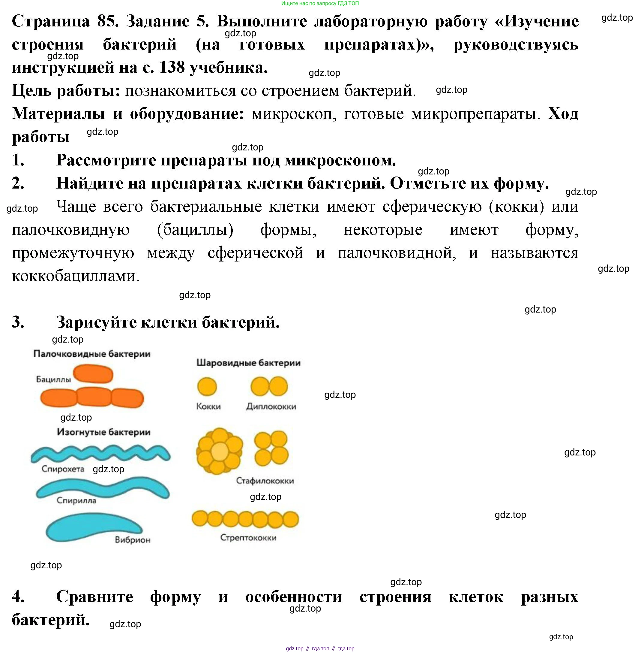 ГДЗ Биология, 7 класс рабочая тетрадь, авторы: Пасечник Владимир Васильевич, Суматохин Сергей Витальевич, Швецов Глеб Геннадьевич, Гапонюк Зоя Георгиевна, Косарькова Марина Викторовна, издательство Просвещение, Москва, 2023, бирюзового цвета, страница 85, номер 5, Решение
