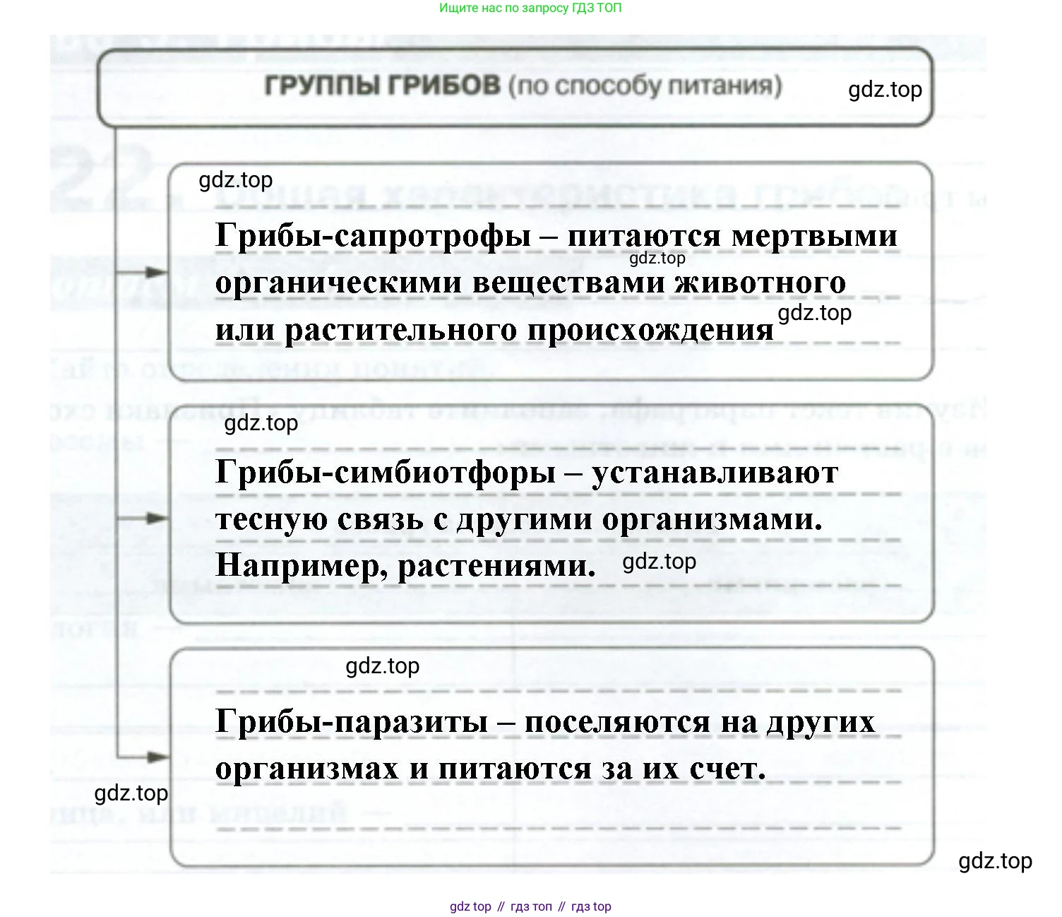 ГДЗ Биология, 7 класс рабочая тетрадь, авторы: Пасечник Владимир Васильевич, Суматохин Сергей Витальевич, Швецов Глеб Геннадьевич, Гапонюк Зоя Георгиевна, Косарькова Марина Викторовна, издательство Просвещение, Москва, 2023, бирюзового цвета, страница 88, номер 3, Решение (продолжение 2)