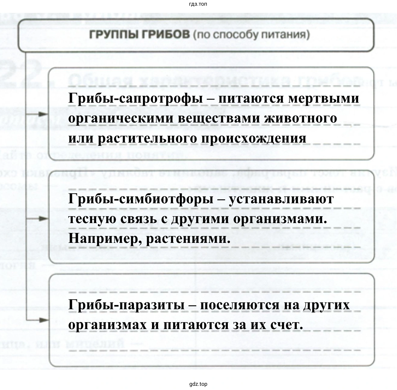 Схема «Питание грибов»
