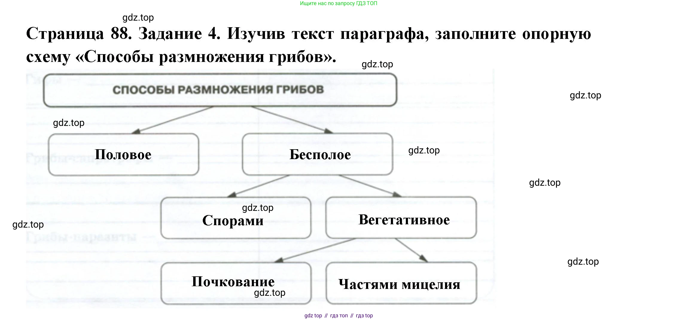 ГДЗ Биология, 7 класс рабочая тетрадь, авторы: Пасечник Владимир Васильевич, Суматохин Сергей Витальевич, Швецов Глеб Геннадьевич, Гапонюк Зоя Георгиевна, Косарькова Марина Викторовна, издательство Просвещение, Москва, 2023, бирюзового цвета, страница 88, номер 4, Решение