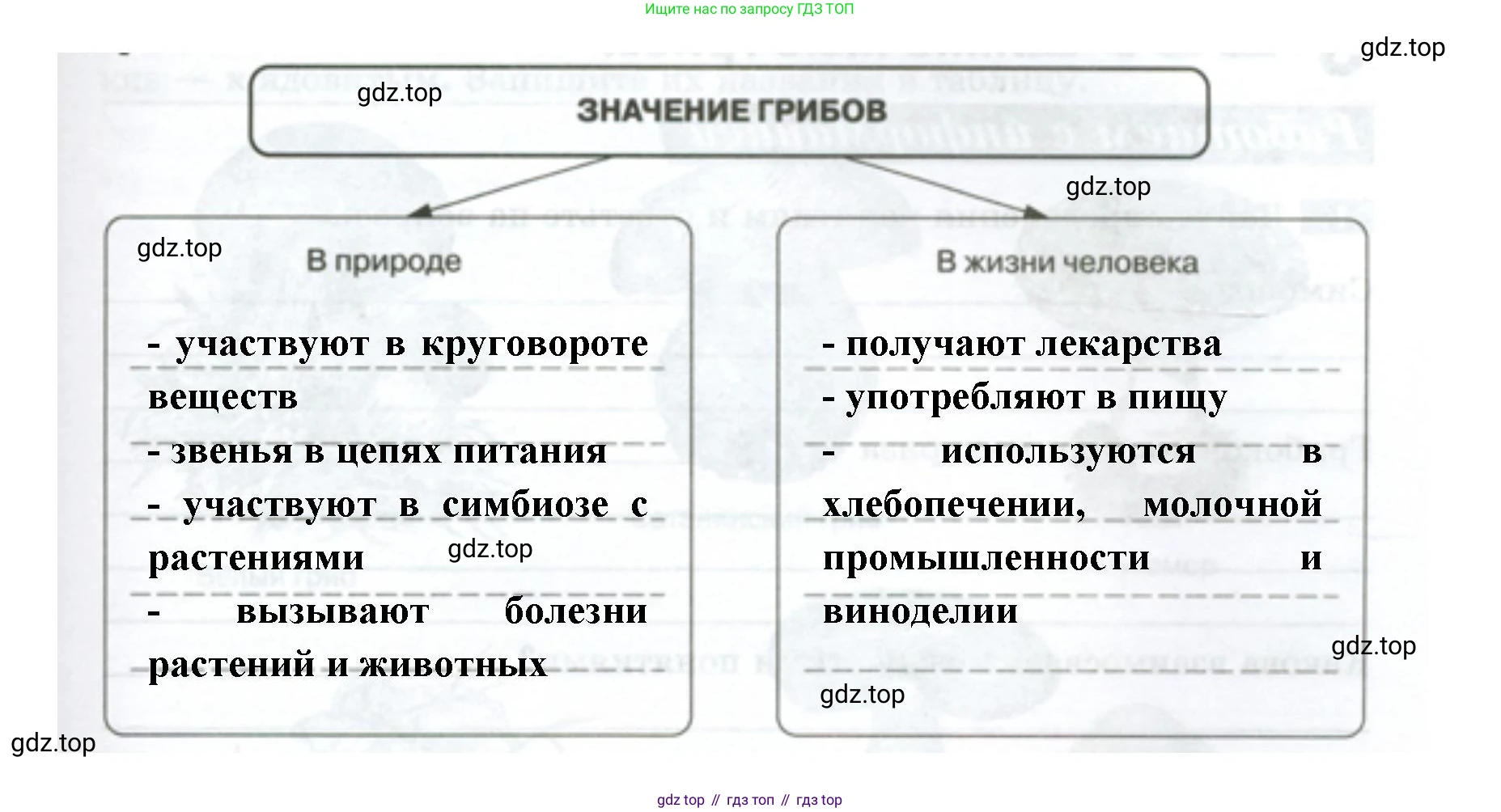 ГДЗ Биология, 7 класс рабочая тетрадь, авторы: Пасечник Владимир Васильевич, Суматохин Сергей Витальевич, Швецов Глеб Геннадьевич, Гапонюк Зоя Георгиевна, Косарькова Марина Викторовна, издательство Просвещение, Москва, 2023, бирюзового цвета, страница 89, номер 5, Решение (продолжение 2)