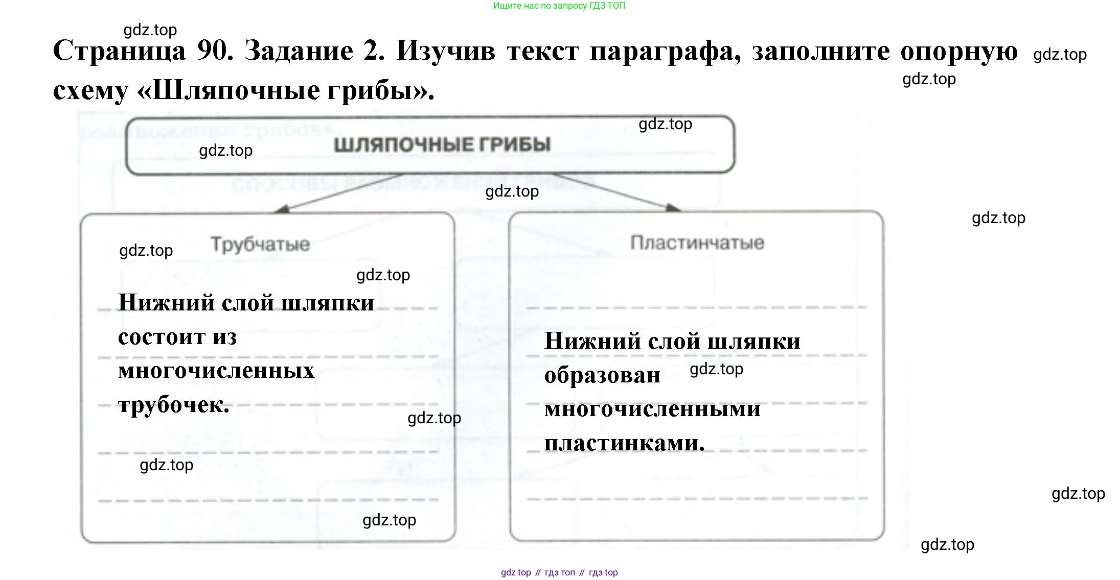 ГДЗ Биология, 7 класс рабочая тетрадь, авторы: Пасечник Владимир Васильевич, Суматохин Сергей Витальевич, Швецов Глеб Геннадьевич, Гапонюк Зоя Георгиевна, Косарькова Марина Викторовна, издательство Просвещение, Москва, 2023, бирюзового цвета, страница 90, номер 2, Решение
