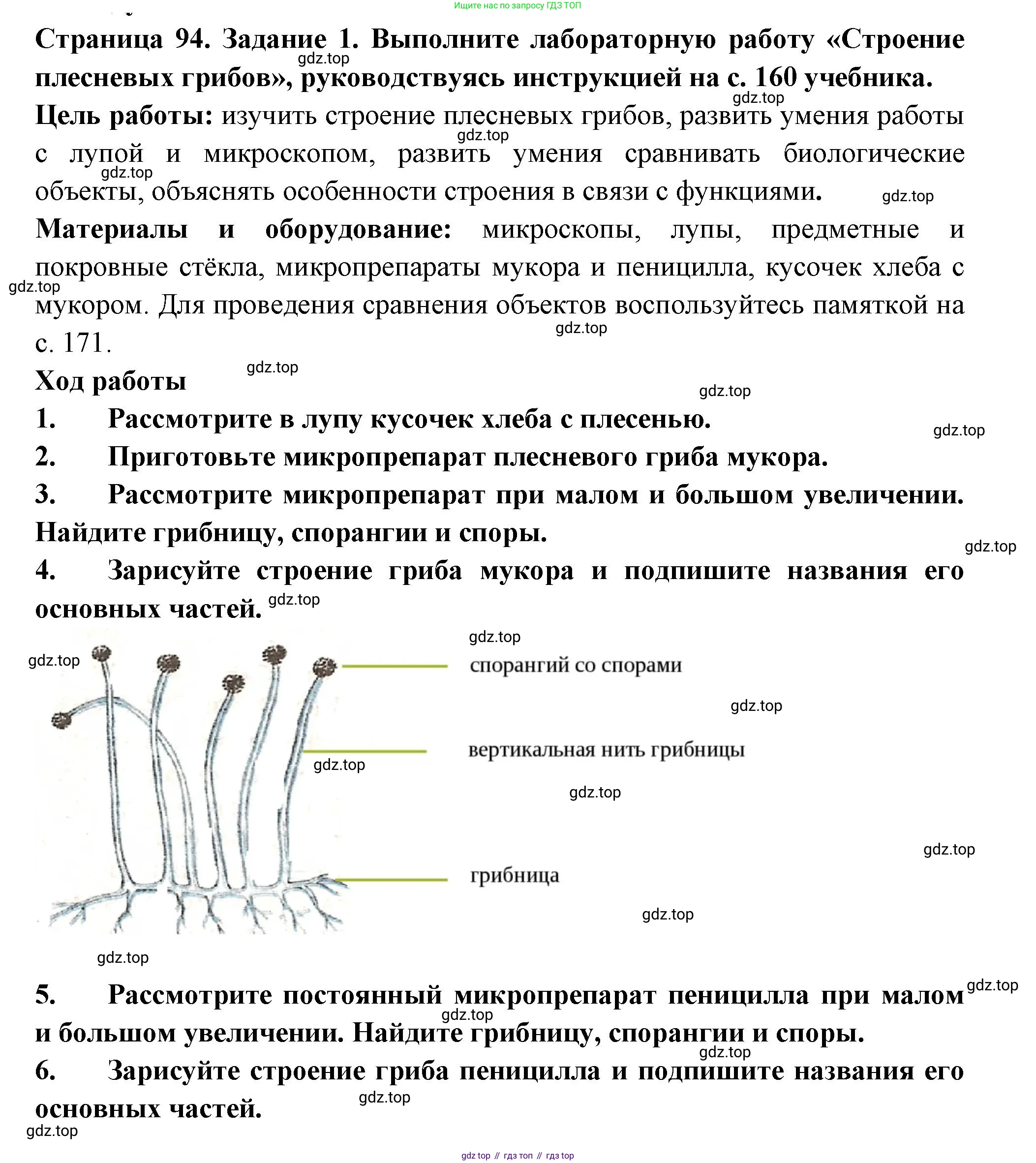 ГДЗ Биология, 7 класс рабочая тетрадь, авторы: Пасечник Владимир Васильевич, Суматохин Сергей Витальевич, Швецов Глеб Геннадьевич, Гапонюк Зоя Георгиевна, Косарькова Марина Викторовна, издательство Просвещение, Москва, 2023, бирюзового цвета, страница 94, номер 1, Решение