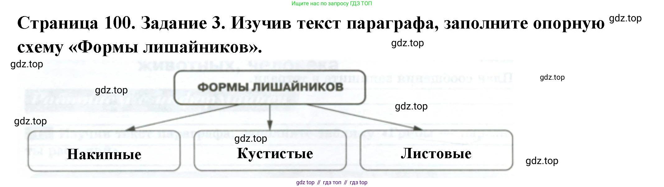 ГДЗ Биология, 7 класс рабочая тетрадь, авторы: Пасечник Владимир Васильевич, Суматохин Сергей Витальевич, Швецов Глеб Геннадьевич, Гапонюк Зоя Георгиевна, Косарькова Марина Викторовна, издательство Просвещение, Москва, 2023, бирюзового цвета, страница 100, номер 3, Решение