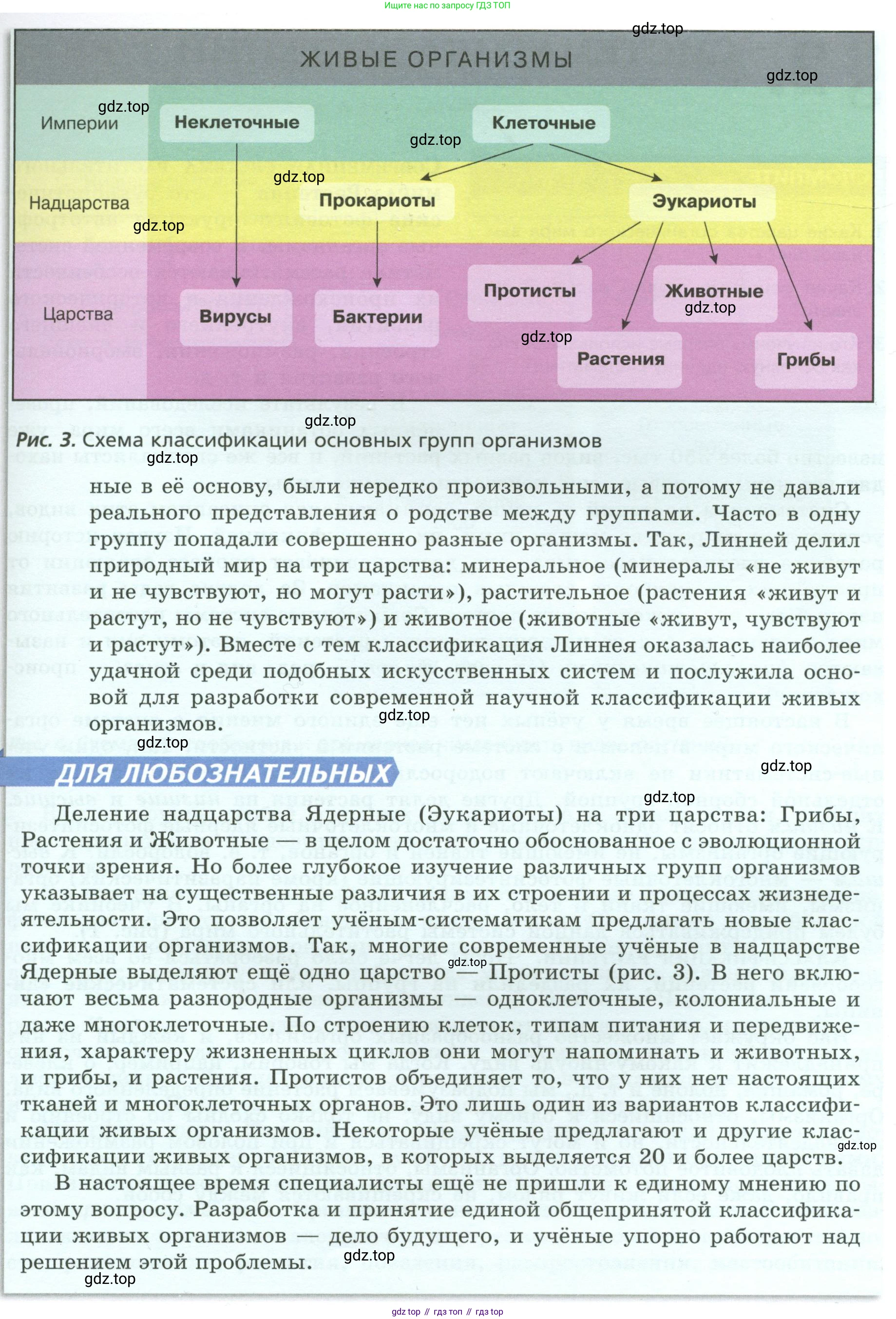 Биология, 7 класс Учебник, авторы: Пасечник Владимир Васильевич, Суматохин Сергей Витальевич, Гапонюк Зоя Георгиевна, Швецов Глеб Геннадьевич, издательство Просвещение, Москва, 2023, бирюзового цвета, страница 8, Условие (продолжение 2)
