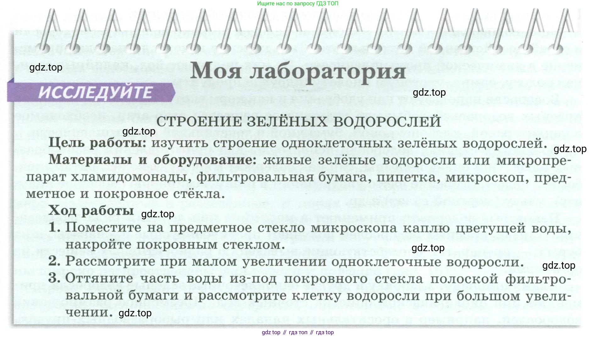 Биология, 7 класс Учебник, авторы: Пасечник Владимир Васильевич, Суматохин Сергей Витальевич, Гапонюк Зоя Георгиевна, Швецов Глеб Геннадьевич, издательство Просвещение, Москва, 2023, бирюзового цвета, страница 26, Условие