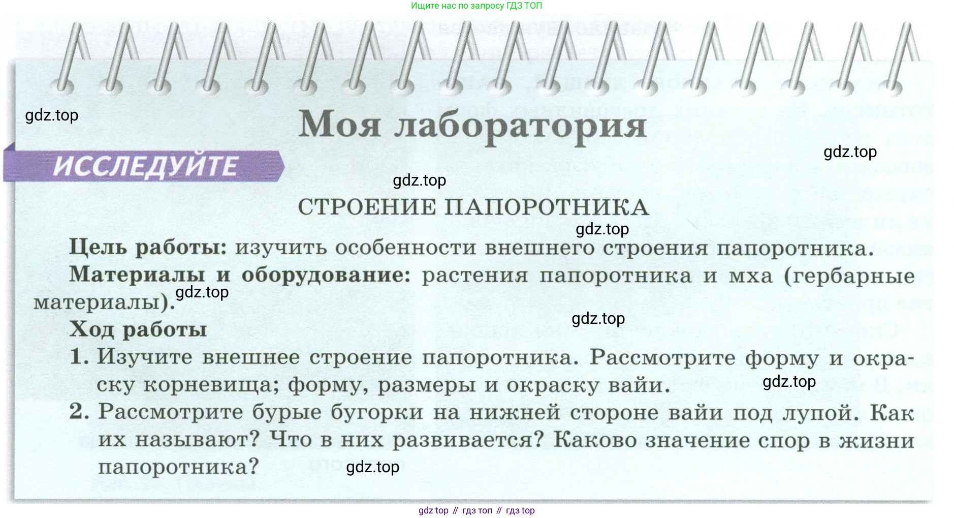 Биология, 7 класс Учебник, авторы: Пасечник Владимир Васильевич, Суматохин Сергей Витальевич, Гапонюк Зоя Георгиевна, Швецов Глеб Геннадьевич, издательство Просвещение, Москва, 2023, бирюзового цвета, страница 38, Условие