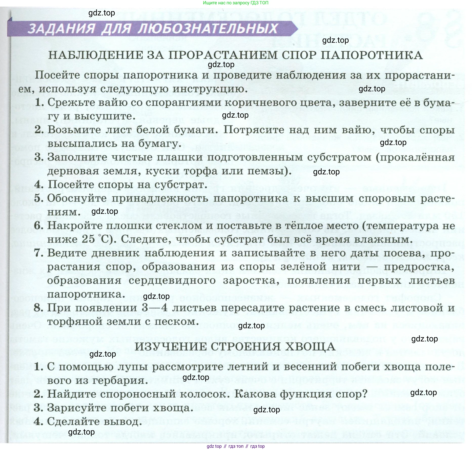 Биология, 7 класс Учебник, авторы: Пасечник Владимир Васильевич, Суматохин Сергей Витальевич, Гапонюк Зоя Георгиевна, Швецов Глеб Геннадьевич, издательство Просвещение, Москва, 2023, бирюзового цвета, страница 38, Условие (продолжение 4)