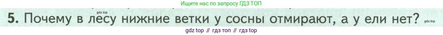 ГДЗ Биология, 7 класс Учебник, авторы: Пасечник Владимир Васильевич, Суматохин Сергей Витальевич, Гапонюк Зоя Георгиевна, Швецов Глеб Геннадьевич, издательство Просвещение, Москва, 2023, бирюзового цвета, страница 46, номер 5, Условие