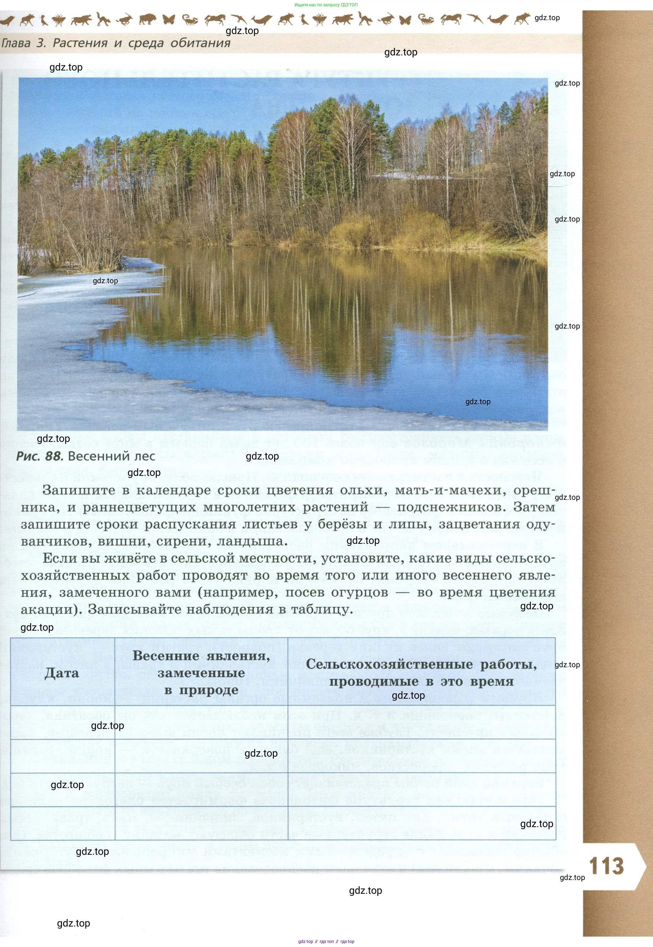 Биология, 7 класс Учебник, авторы: Пасечник Владимир Васильевич, Суматохин Сергей Витальевич, Гапонюк Зоя Георгиевна, Швецов Глеб Геннадьевич, издательство Просвещение, Москва, 2023, бирюзового цвета, страница 113