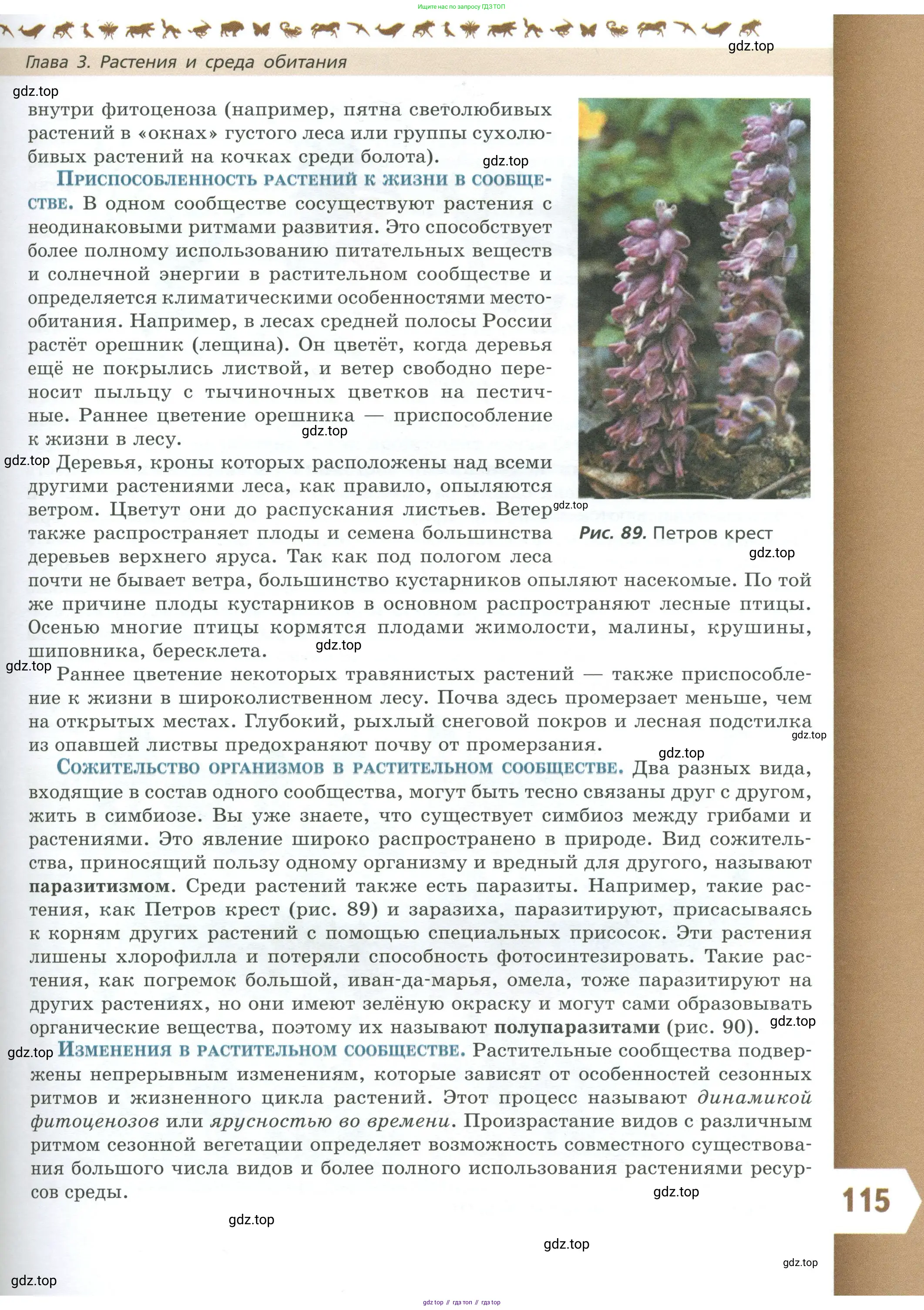 Биология, 7 класс Учебник, авторы: Пасечник Владимир Васильевич, Суматохин Сергей Витальевич, Гапонюк Зоя Георгиевна, Швецов Глеб Геннадьевич, издательство Просвещение, Москва, 2023, бирюзового цвета, страница 115