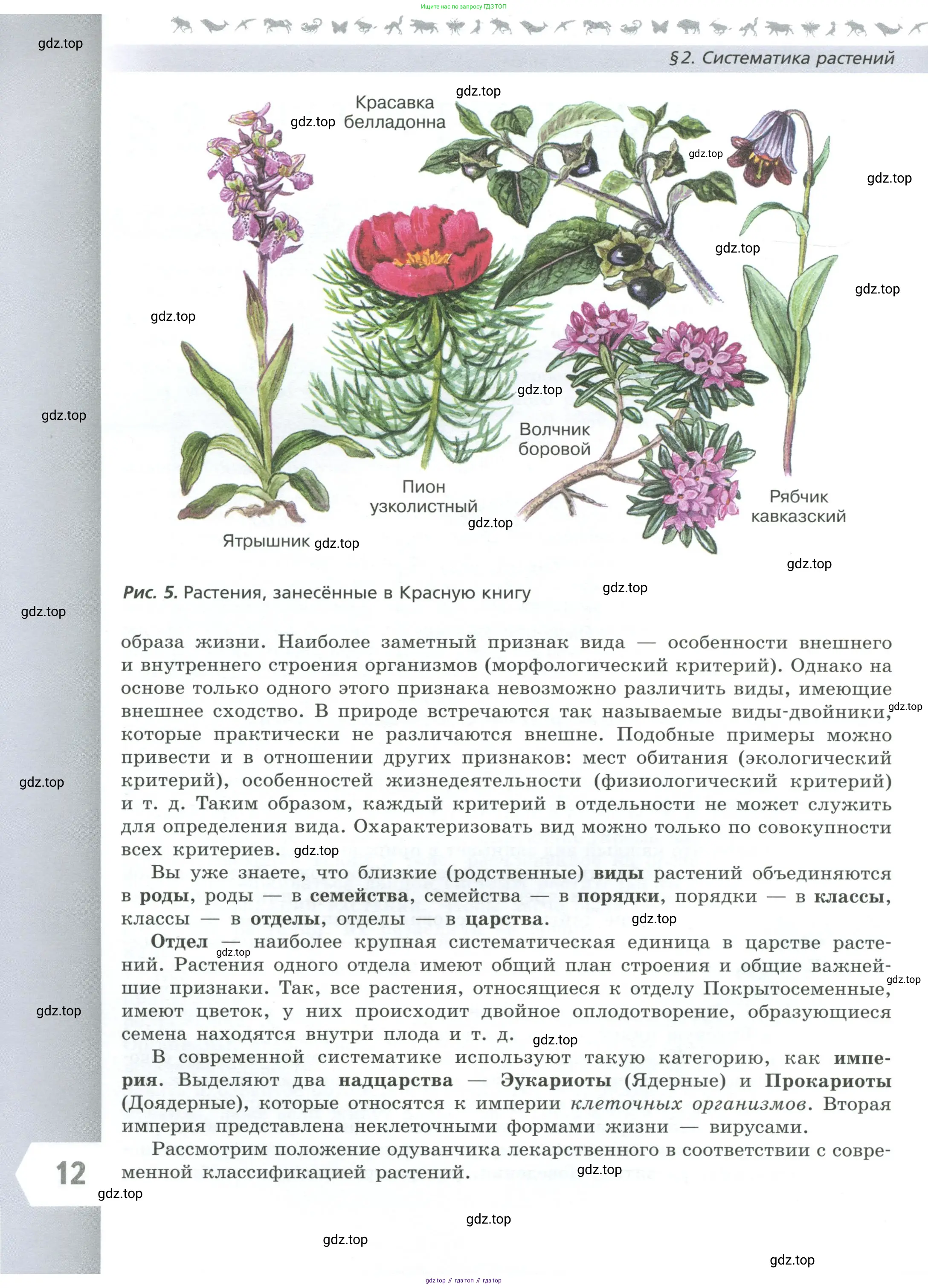 Биология, 7 класс Учебник, авторы: Пасечник Владимир Васильевич, Суматохин Сергей Витальевич, Гапонюк Зоя Георгиевна, Швецов Глеб Геннадьевич, издательство Просвещение, Москва, 2023, бирюзового цвета, страница 12