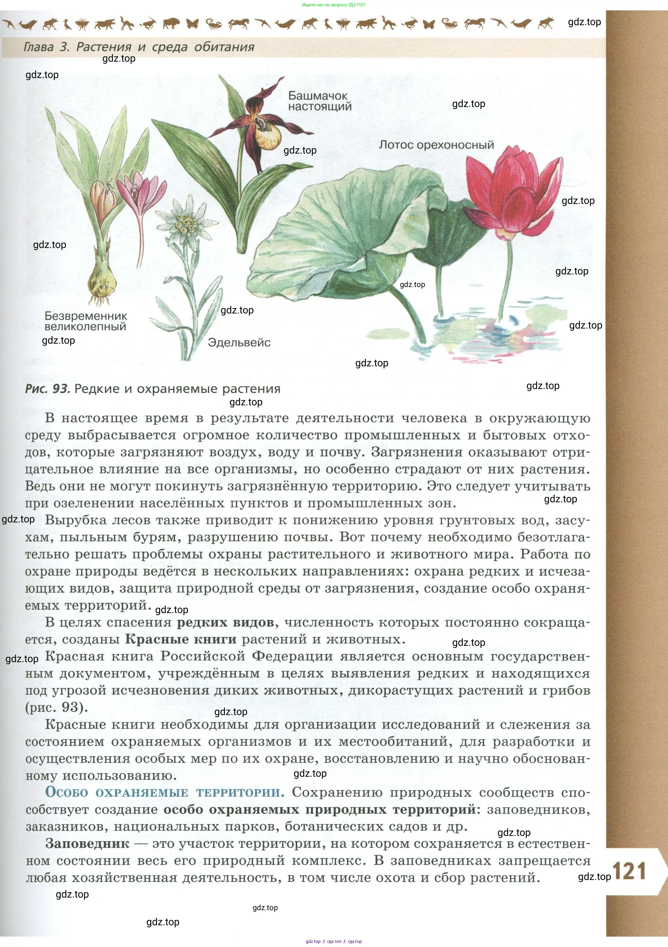 Биология, 7 класс Учебник, авторы: Пасечник Владимир Васильевич, Суматохин Сергей Витальевич, Гапонюк Зоя Георгиевна, Швецов Глеб Геннадьевич, издательство Просвещение, Москва, 2023, бирюзового цвета, страница 121