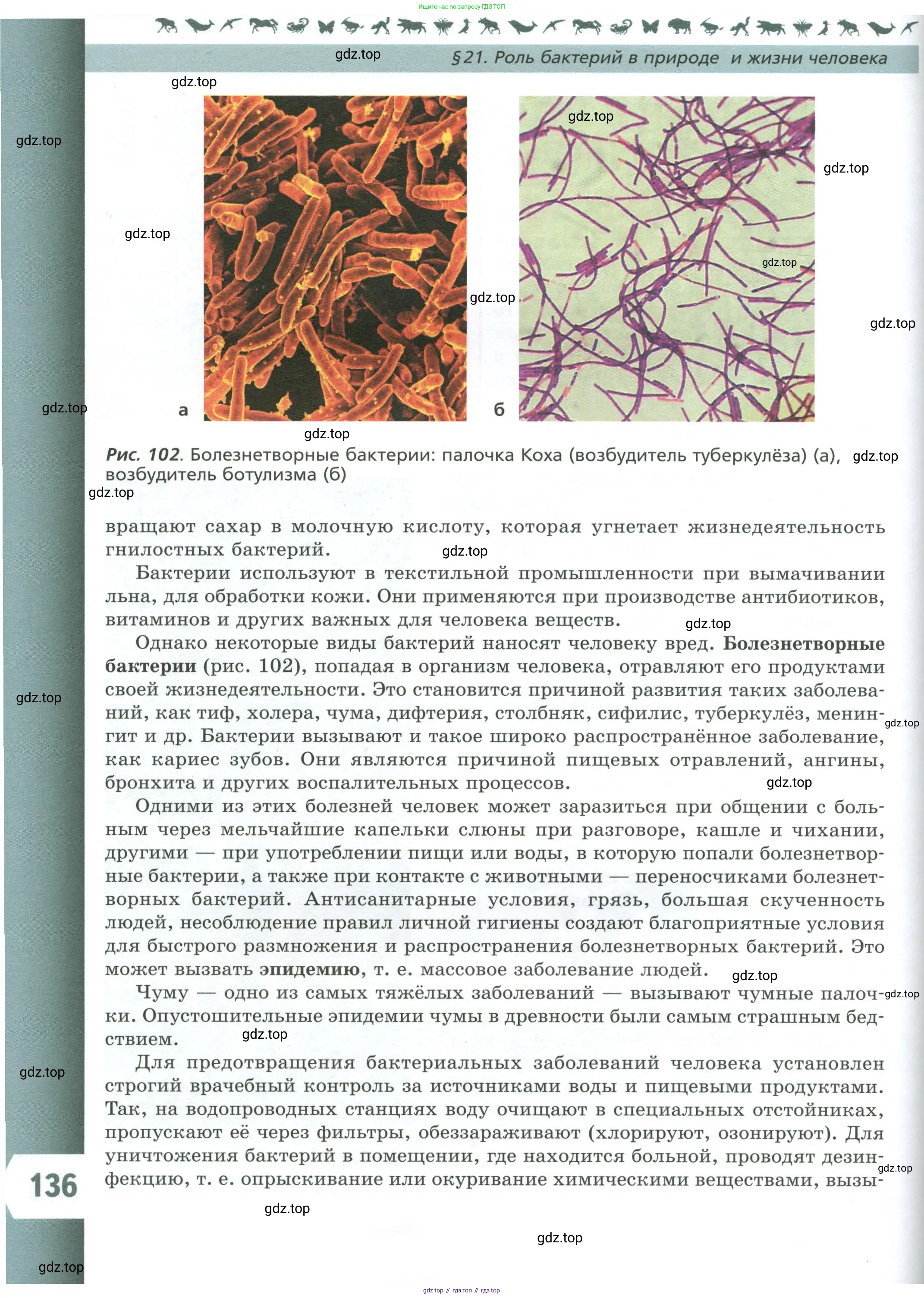 Биология, 7 класс Учебник, авторы: Пасечник Владимир Васильевич, Суматохин Сергей Витальевич, Гапонюк Зоя Георгиевна, Швецов Глеб Геннадьевич, издательство Просвещение, Москва, 2023, бирюзового цвета, страница 136
