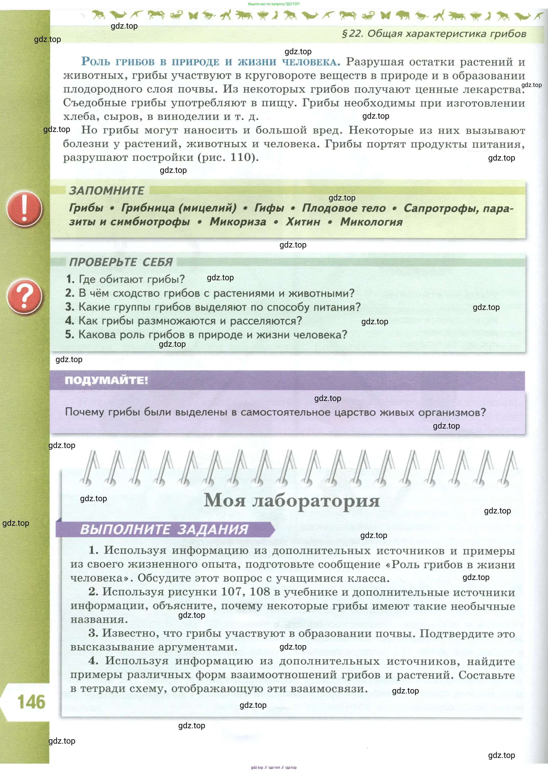Биология, 7 класс Учебник, авторы: Пасечник Владимир Васильевич, Суматохин Сергей Витальевич, Гапонюк Зоя Георгиевна, Швецов Глеб Геннадьевич, издательство Просвещение, Москва, 2023, бирюзового цвета, страница 146