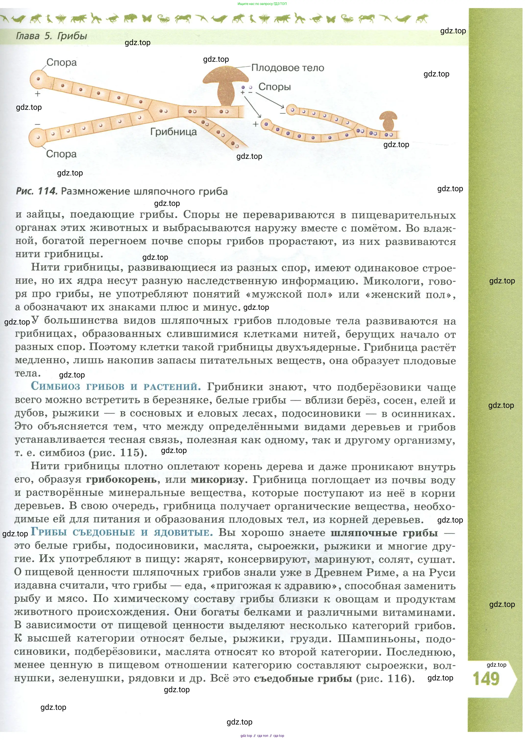 Биология, 7 класс Учебник, авторы: Пасечник Владимир Васильевич, Суматохин Сергей Витальевич, Гапонюк Зоя Георгиевна, Швецов Глеб Геннадьевич, издательство Просвещение, Москва, 2023, бирюзового цвета, страница 149