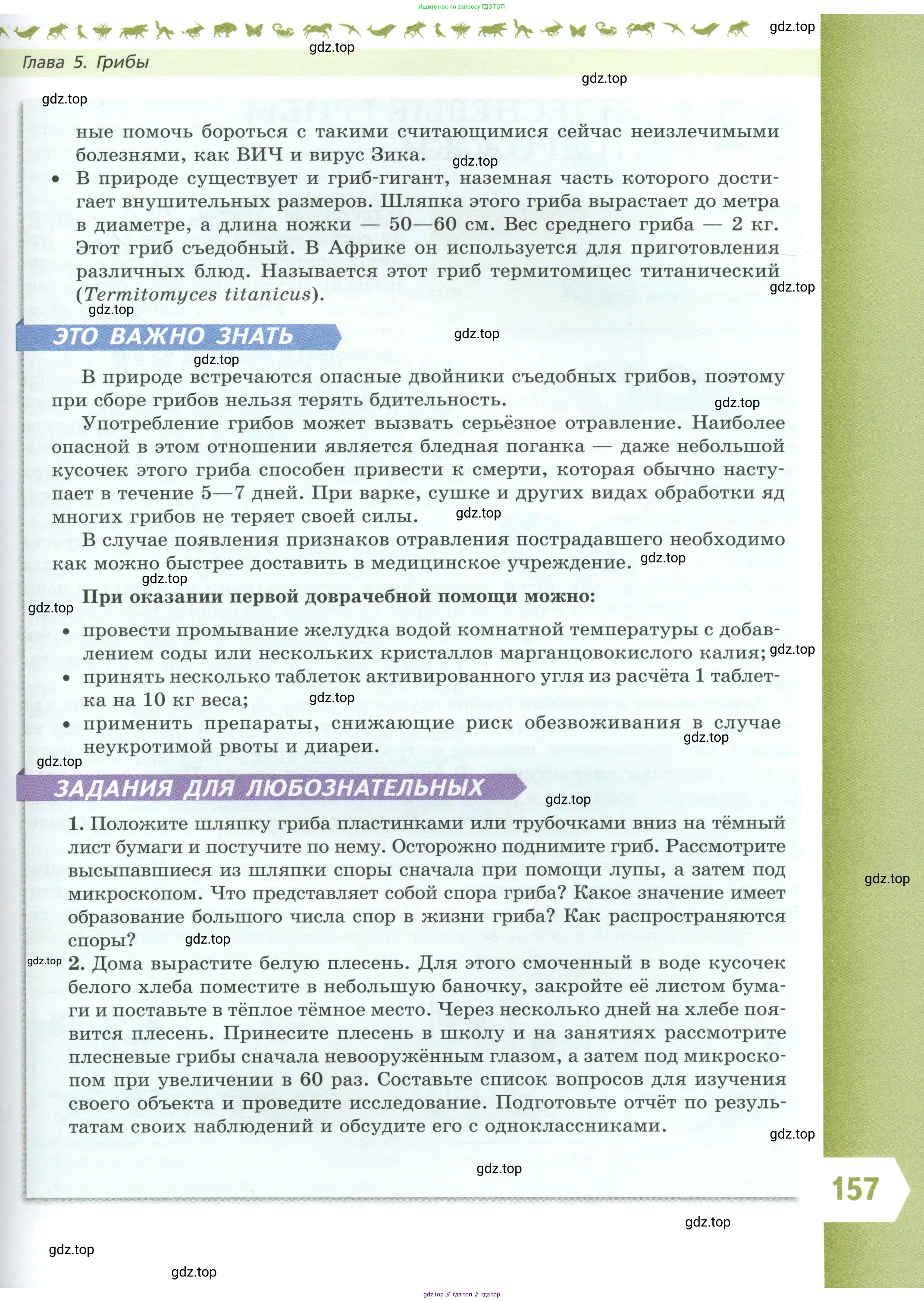 Биология, 7 класс Учебник, авторы: Пасечник Владимир Васильевич, Суматохин Сергей Витальевич, Гапонюк Зоя Георгиевна, Швецов Глеб Геннадьевич, издательство Просвещение, Москва, 2023, бирюзового цвета, страница 157