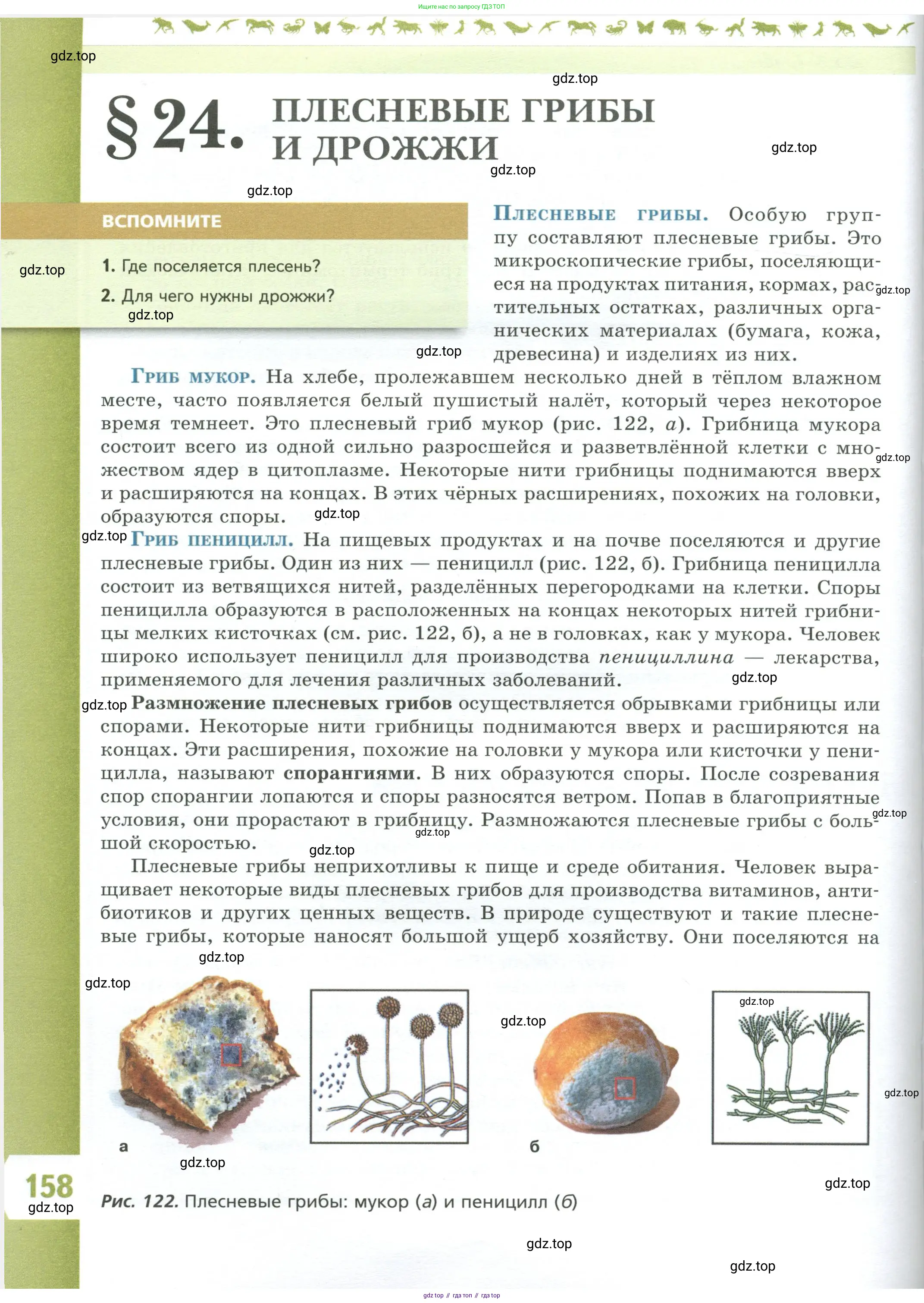 Биология, 7 класс Учебник, авторы: Пасечник Владимир Васильевич, Суматохин Сергей Витальевич, Гапонюк Зоя Георгиевна, Швецов Глеб Геннадьевич, издательство Просвещение, Москва, 2023, бирюзового цвета, страница 158