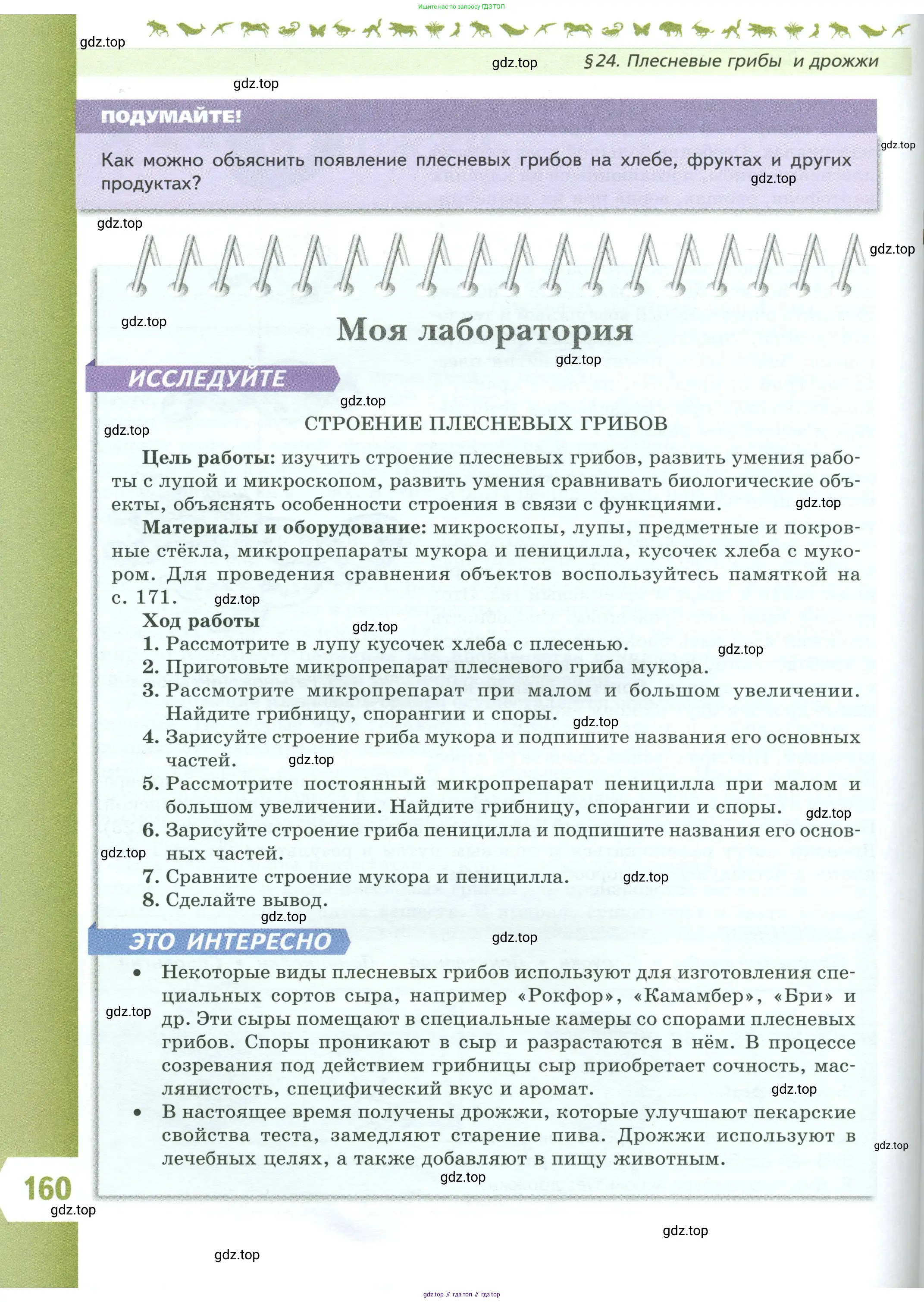 Биология, 7 класс Учебник, авторы: Пасечник Владимир Васильевич, Суматохин Сергей Витальевич, Гапонюк Зоя Георгиевна, Швецов Глеб Геннадьевич, издательство Просвещение, Москва, 2023, бирюзового цвета, страница 160