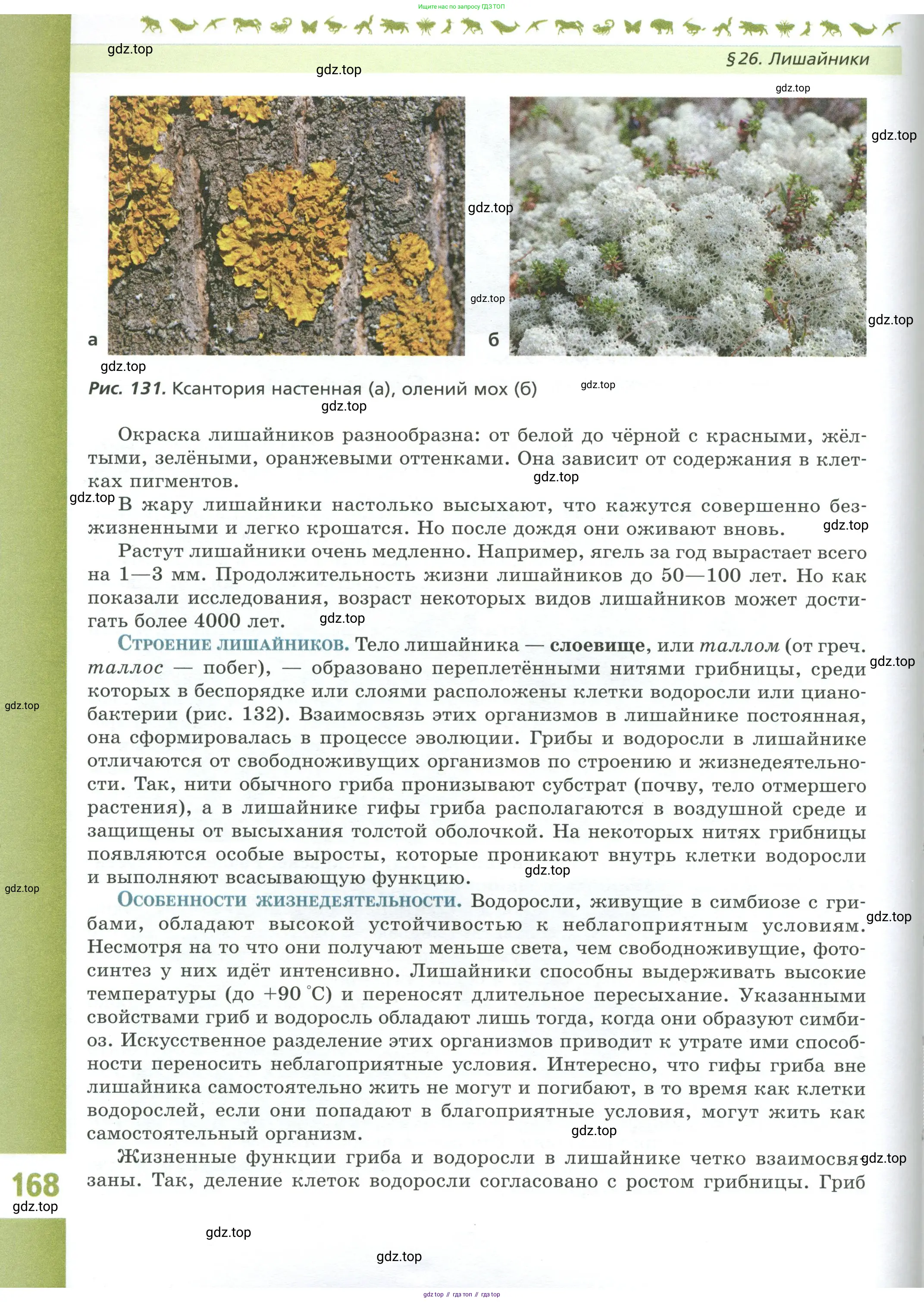 Биология, 7 класс Учебник, авторы: Пасечник Владимир Васильевич, Суматохин Сергей Витальевич, Гапонюк Зоя Георгиевна, Швецов Глеб Геннадьевич, издательство Просвещение, Москва, 2023, бирюзового цвета, страница 168