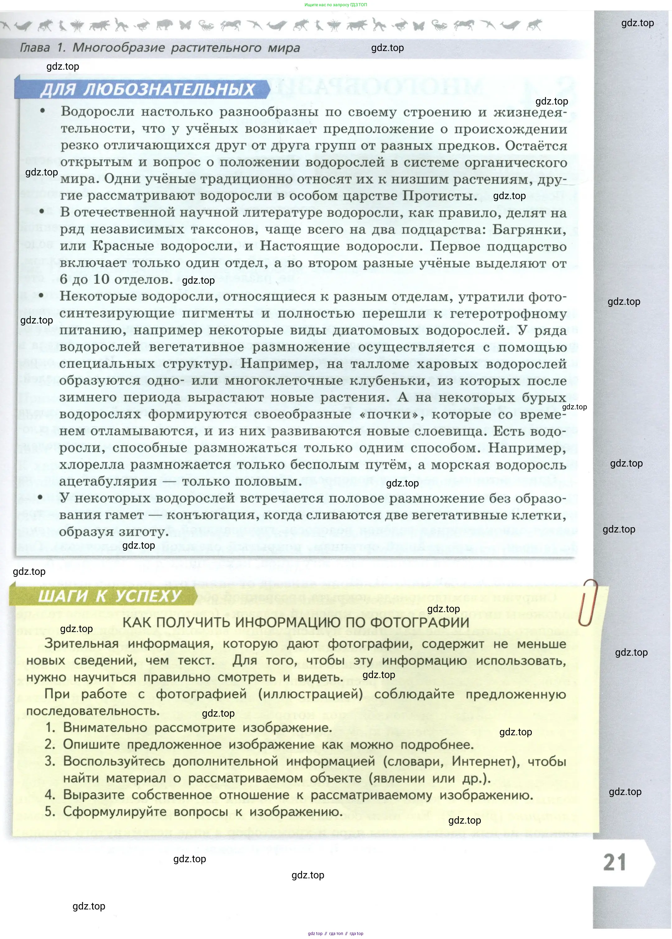 Биология, 7 класс Учебник, авторы: Пасечник Владимир Васильевич, Суматохин Сергей Витальевич, Гапонюк Зоя Георгиевна, Швецов Глеб Геннадьевич, издательство Просвещение, Москва, 2023, бирюзового цвета, страница 21