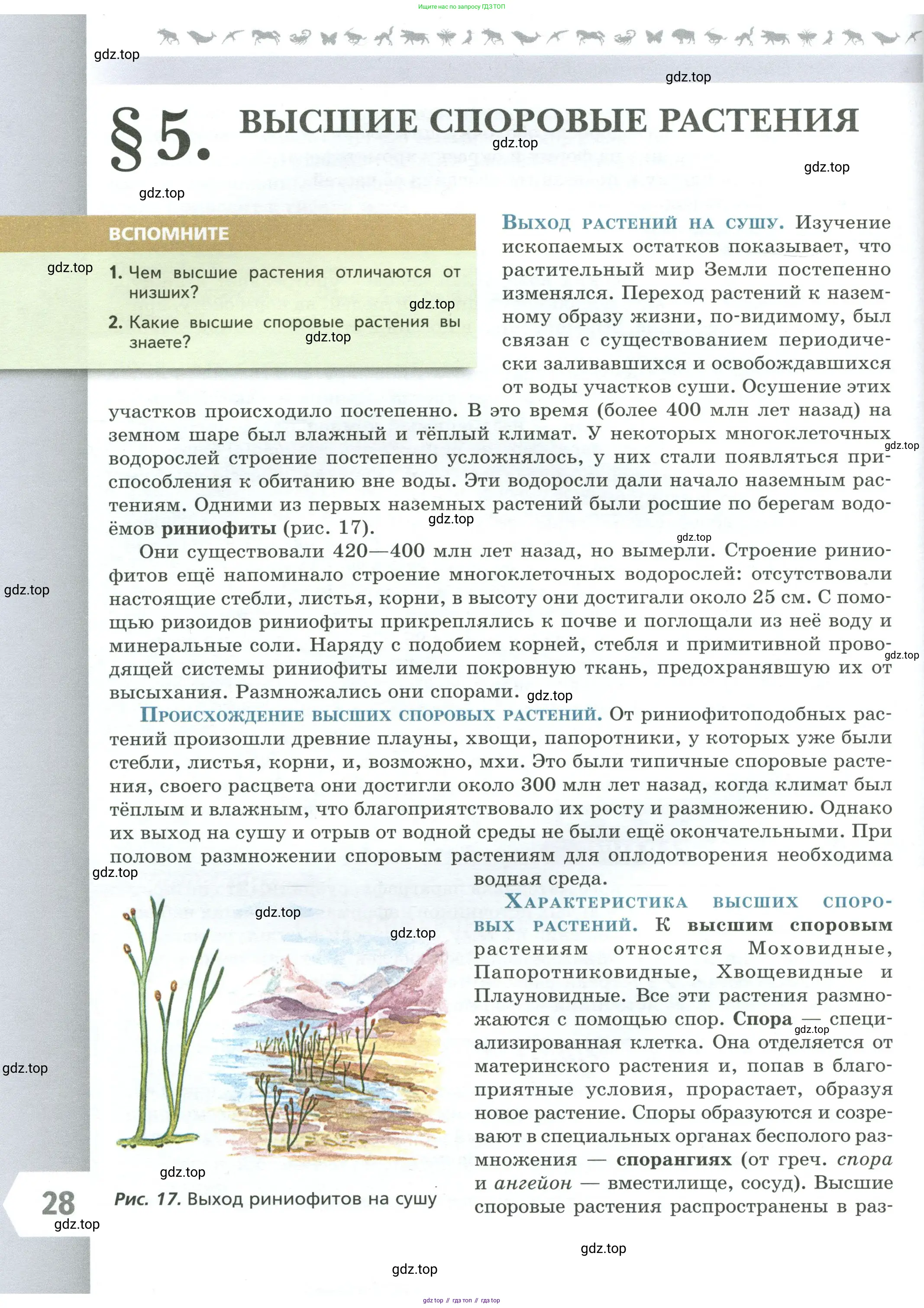 Биология, 7 класс Учебник, авторы: Пасечник Владимир Васильевич, Суматохин Сергей Витальевич, Гапонюк Зоя Георгиевна, Швецов Глеб Геннадьевич, издательство Просвещение, Москва, 2023, бирюзового цвета, страница 28